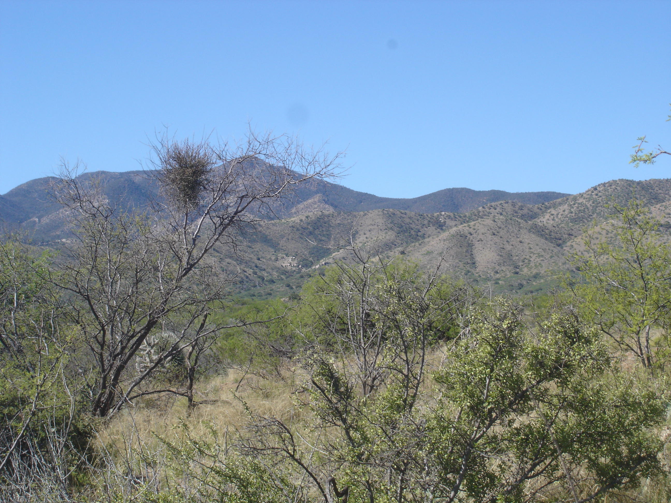 4.03 acres of horse property with 360 degrees of views. Property has multiple areas to build a home or add a double wide (see CC&R's).  Potential problem with current well shares being 5 or 11 by agreement. Owners working through county records and legal to resolve. Underground electrical in Street. Plenty of room for corrals, barn sheds or RV. Bring the toys. Horse riding, bike riding and walking areas abound in this natural high desert setting. Easy access to main roads and 30 minutes to Tucson shopping, stores and medical. Nice piece of property and it is priced to sell. Property has CC&R's with a minimum lot size of 4.0 acres...