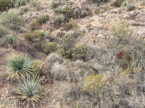 Tubac Foothills Ranch - Land