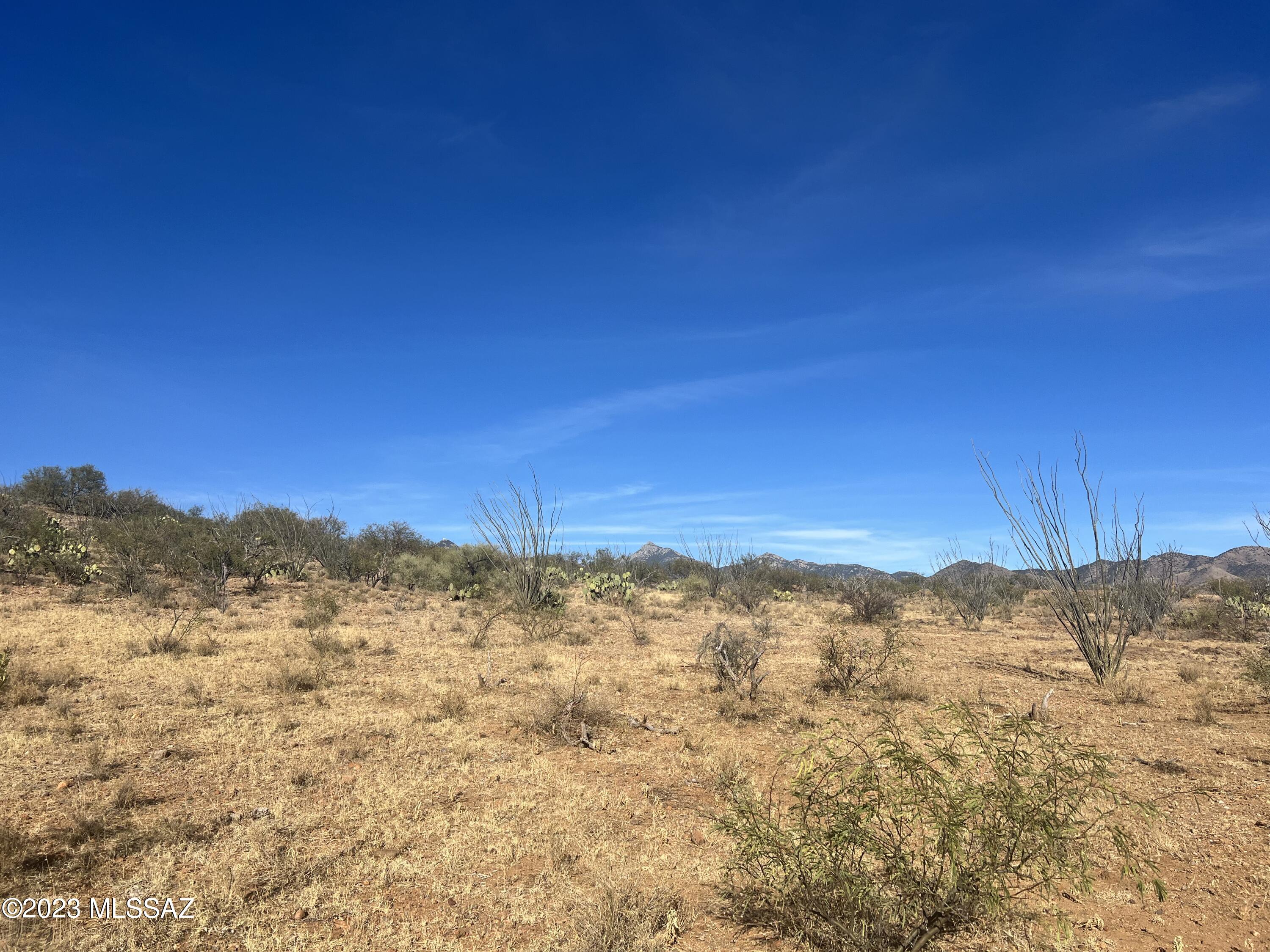 Tubac Foothills Ranch - Land