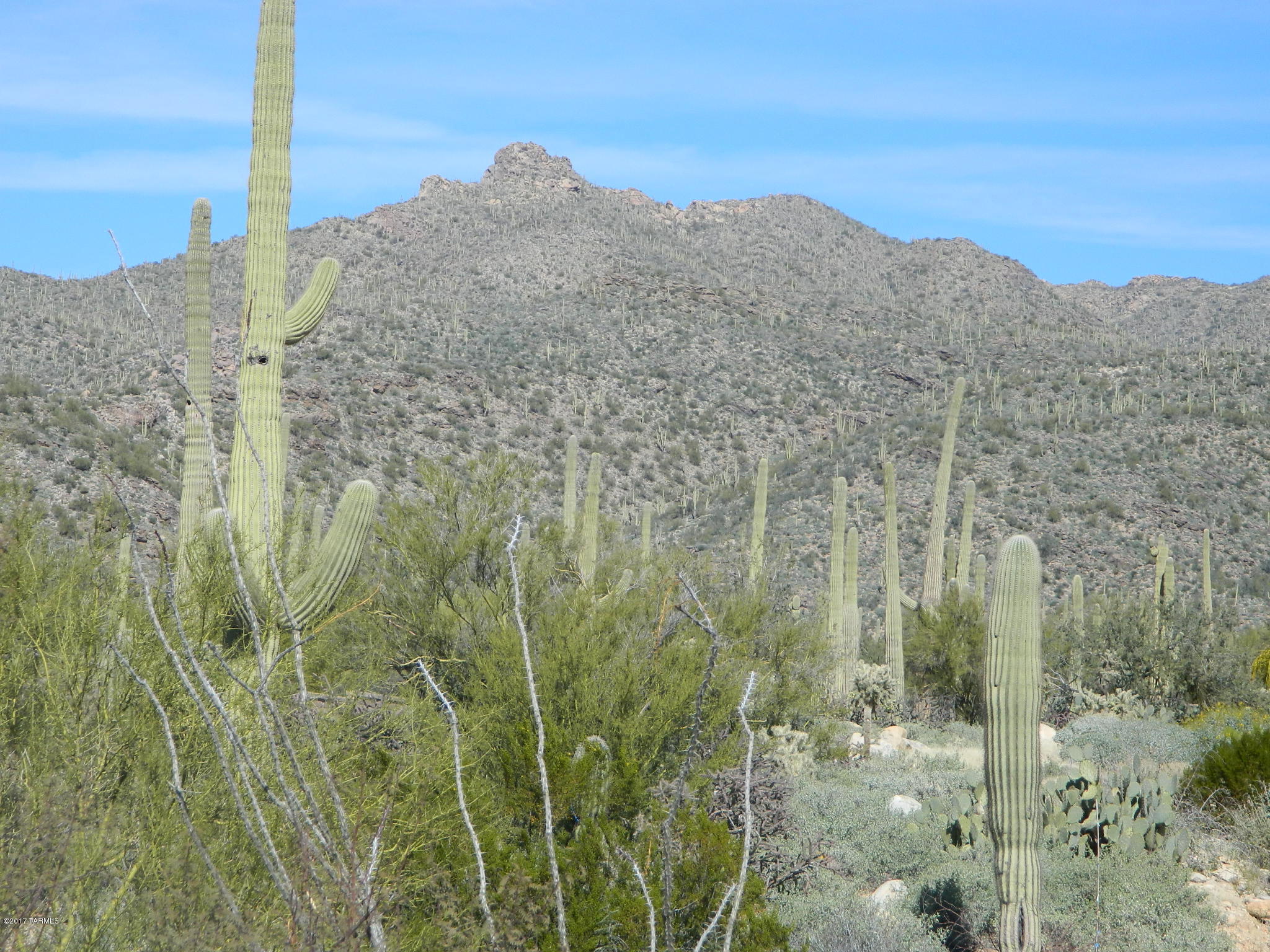 Los Saguaros At Dove Mountain SQ20121640199 - Residential