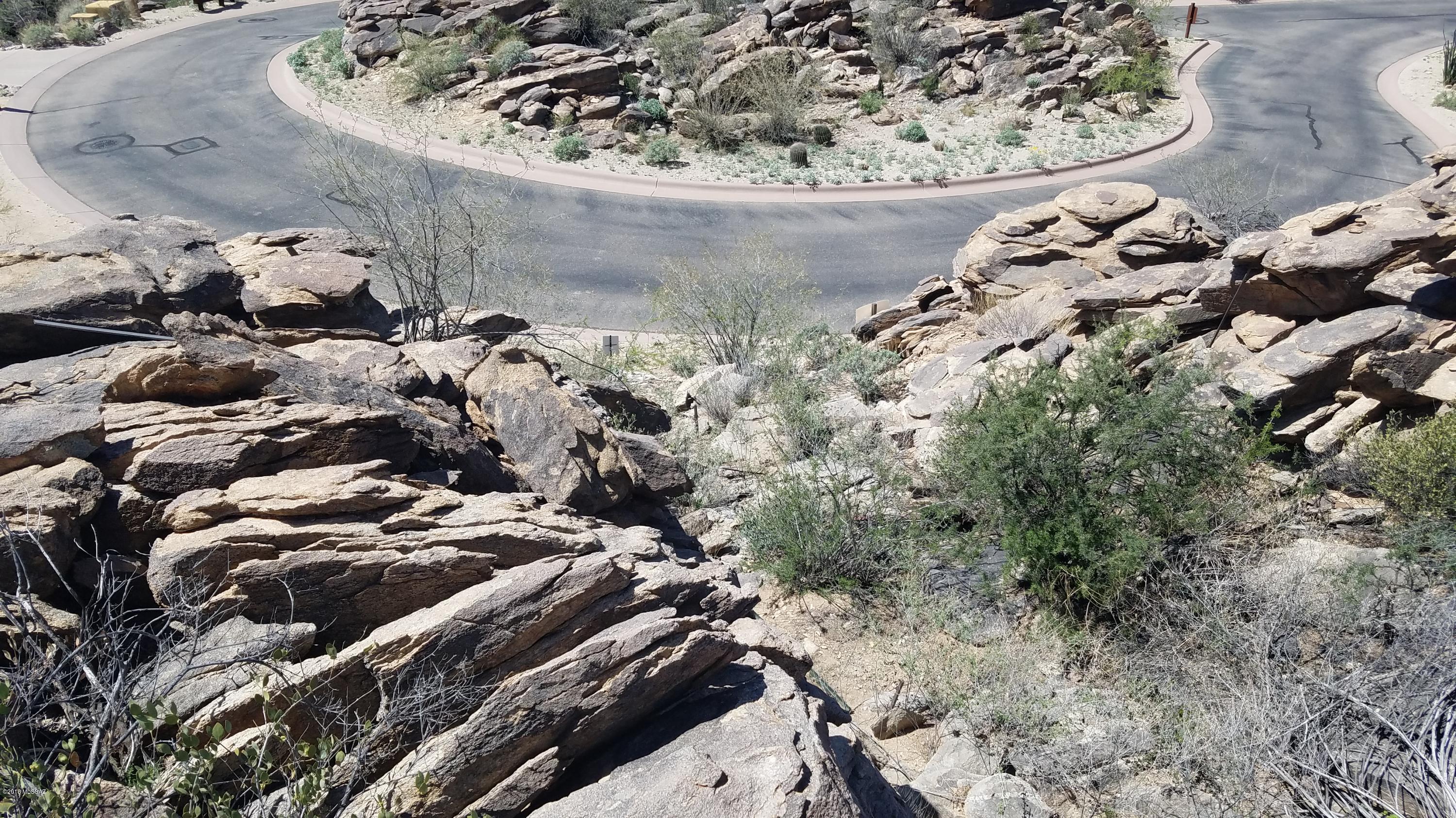 Canyon Pass IV-B At Dove Mountain - Land