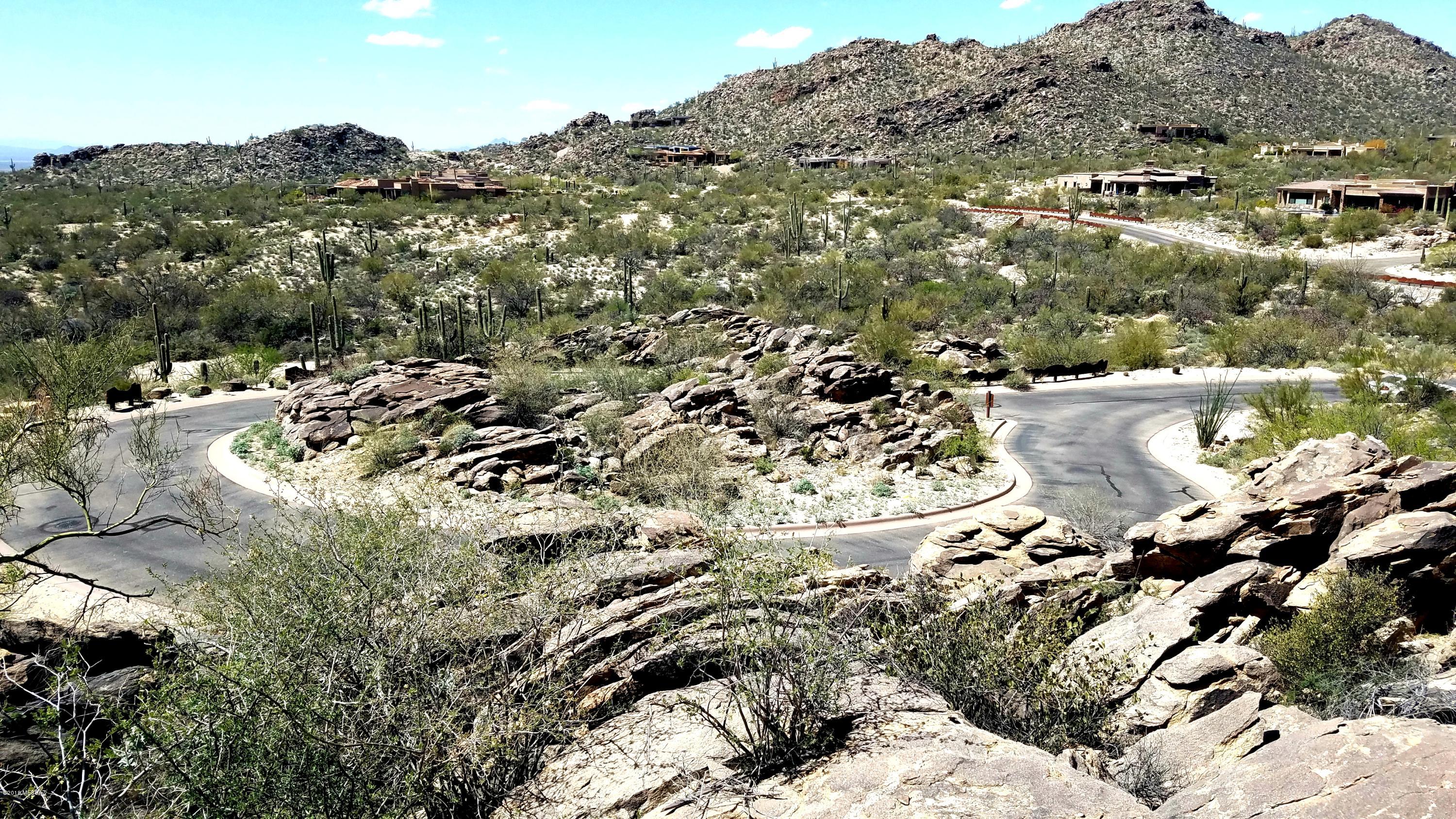 Canyon Pass IV-B At Dove Mountain - Land
