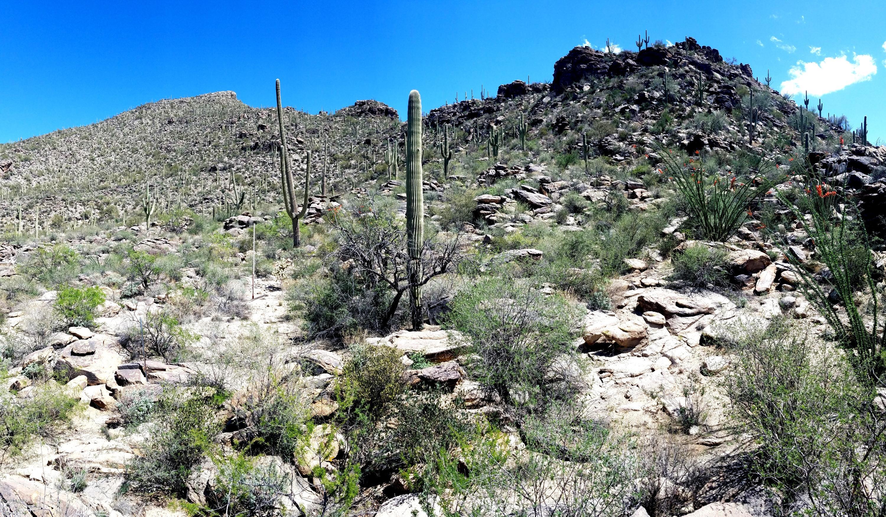 Canyon Pass IV-B At Dove Mountain - Land