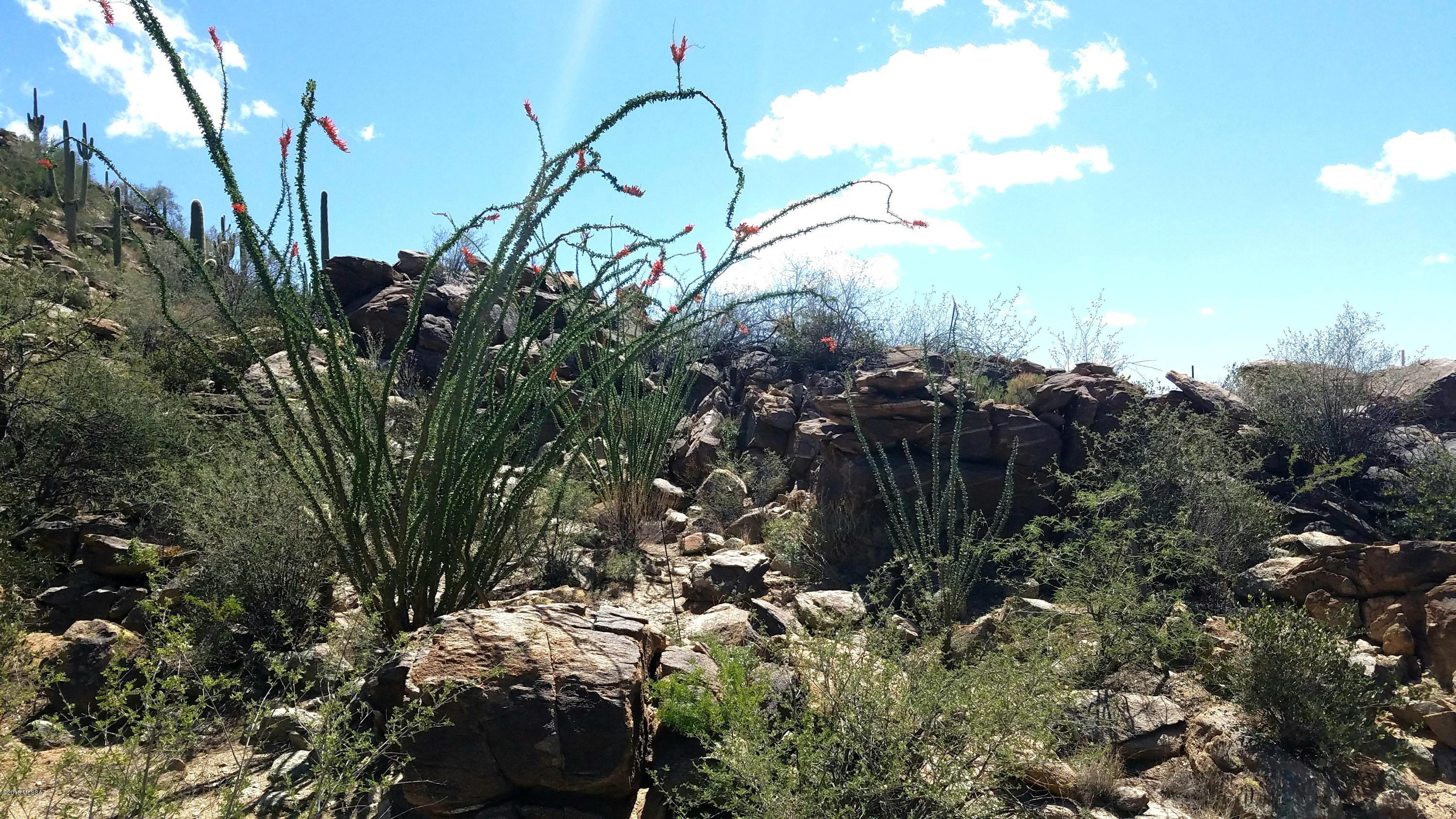 Canyon Pass IV-B At Dove Mountain - Land