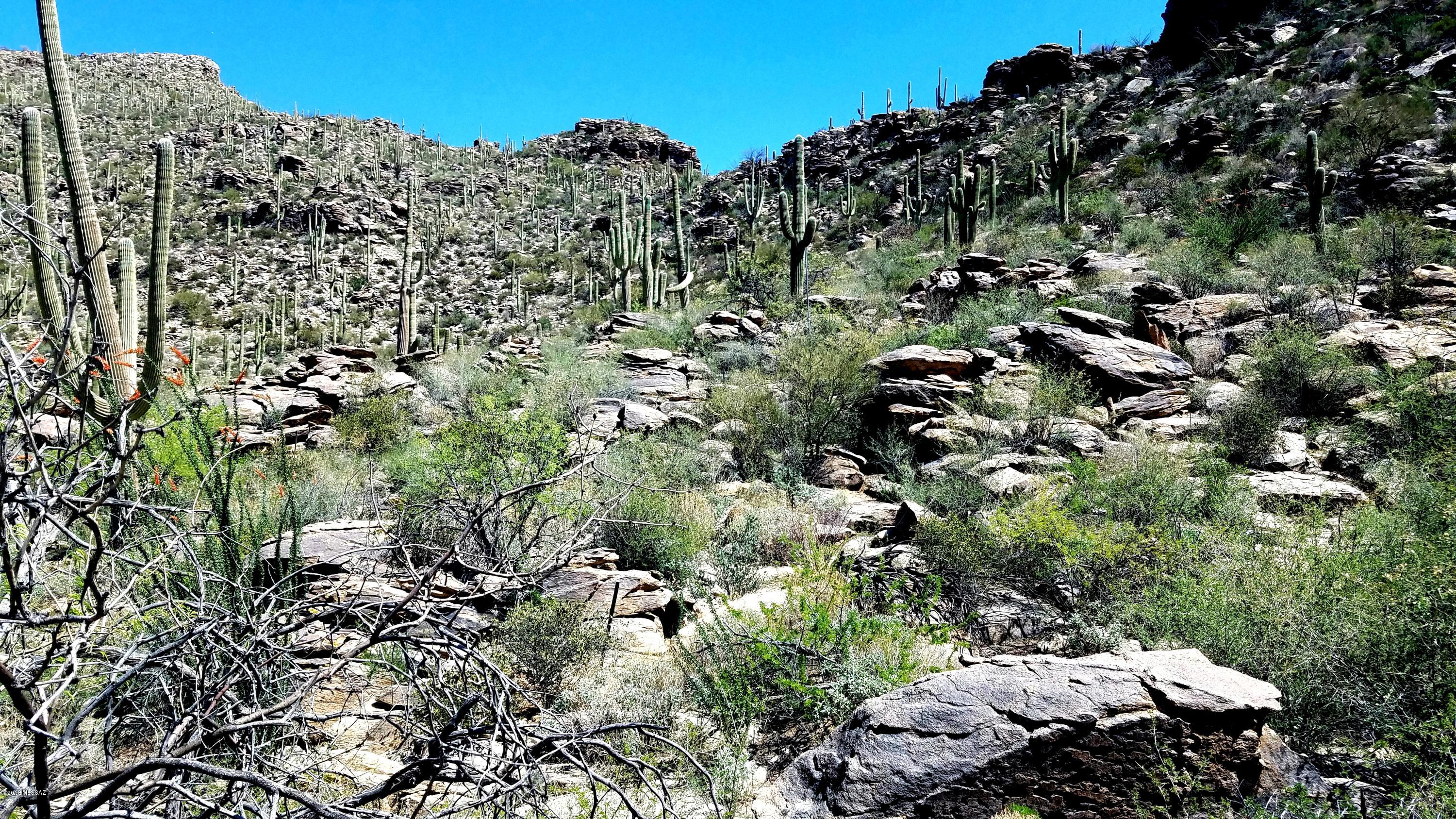 Canyon Pass IV-B At Dove Mountain - Land