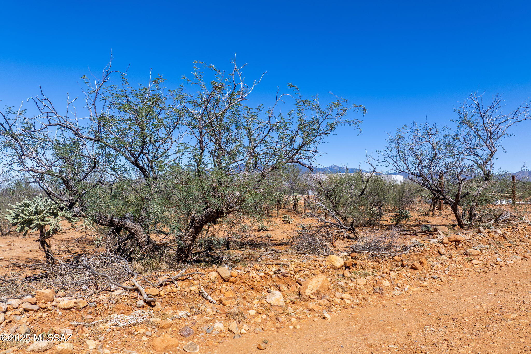 Tubac Foothills Ranch - Land