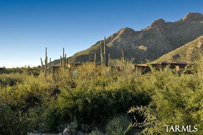 Pima Canyon Estates (1-14) - Land
