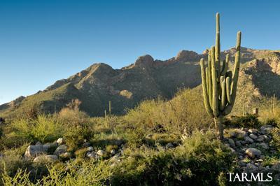 Pima Canyon Estates (1-14) - Land