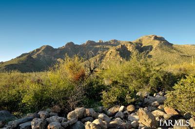 Pima Canyon Estates (1-14) - Land
