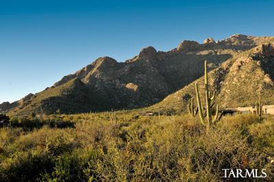 Pima Canyon Estates (1-14) - Land