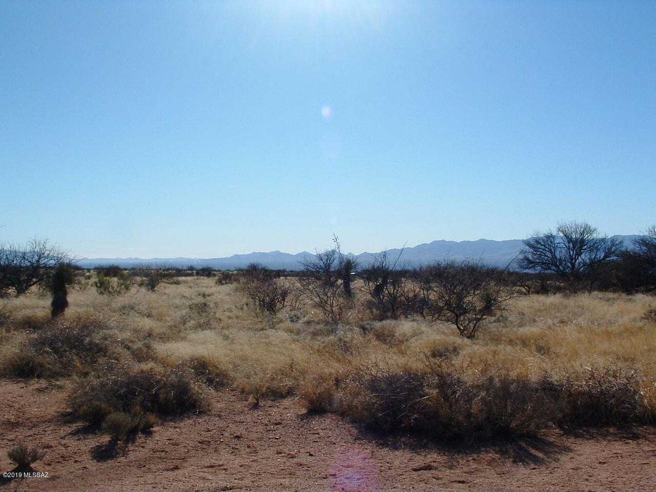 Dragoon Mountain Ranch - Land