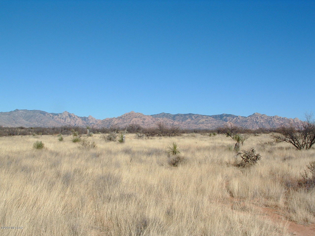 Priced to sell quickly! This  corner lot has beautiful mountain views. There are many things to do in the area like hiking, riding or amazing walks at sunset. You are close to the Coronado National Forest and 2 greenbelts. Electric is available at the property. You are close to shopping, dining, golf and medical located in Benson.
