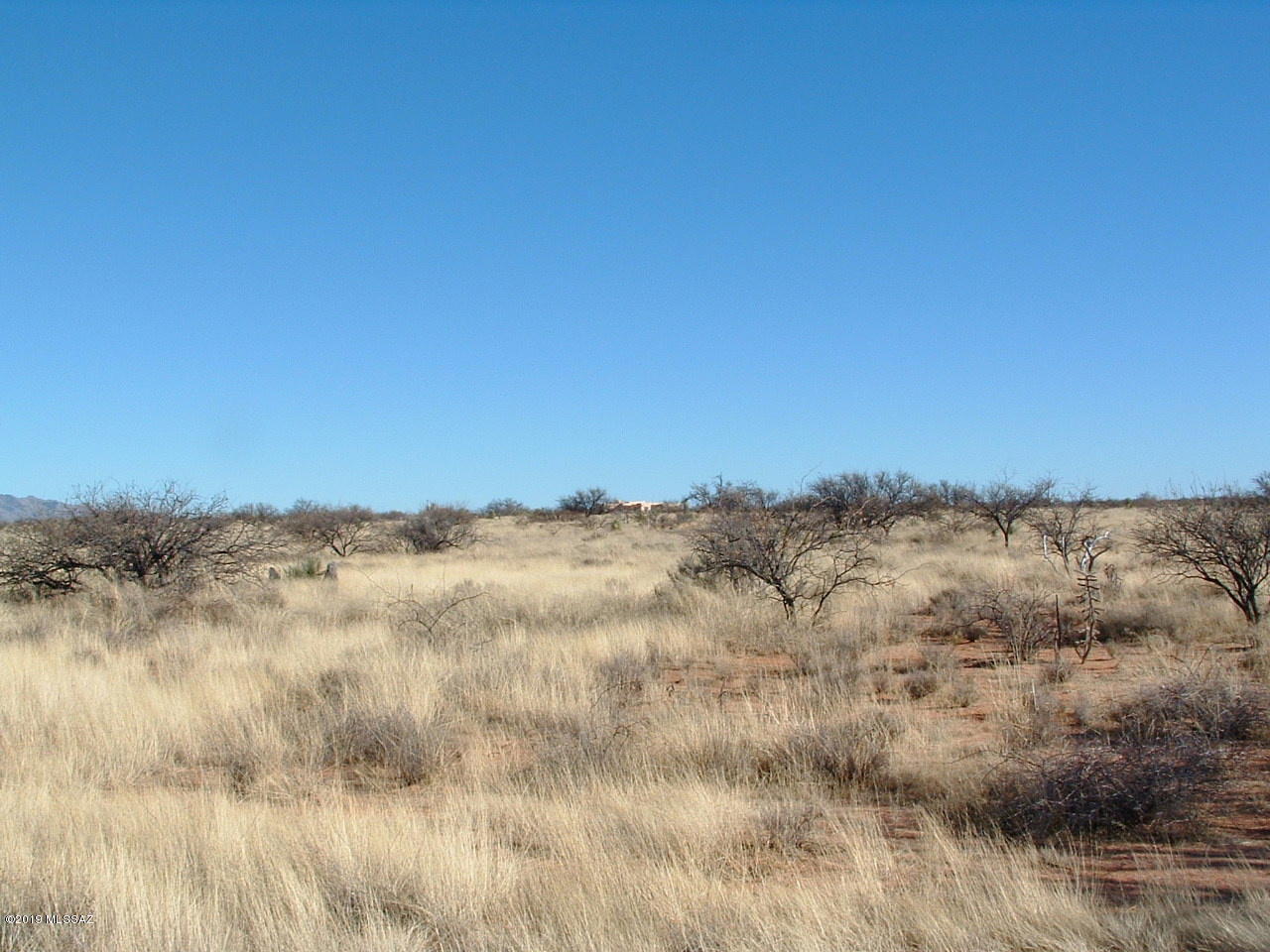 Dragoon Mountain Ranch - Land