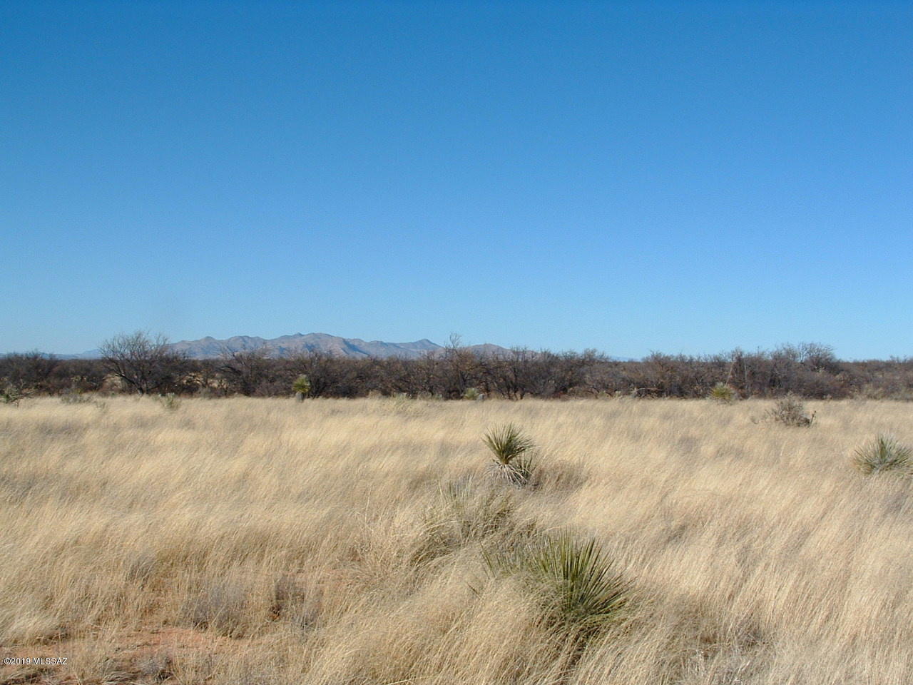 Dragoon Mountain Ranch - Land