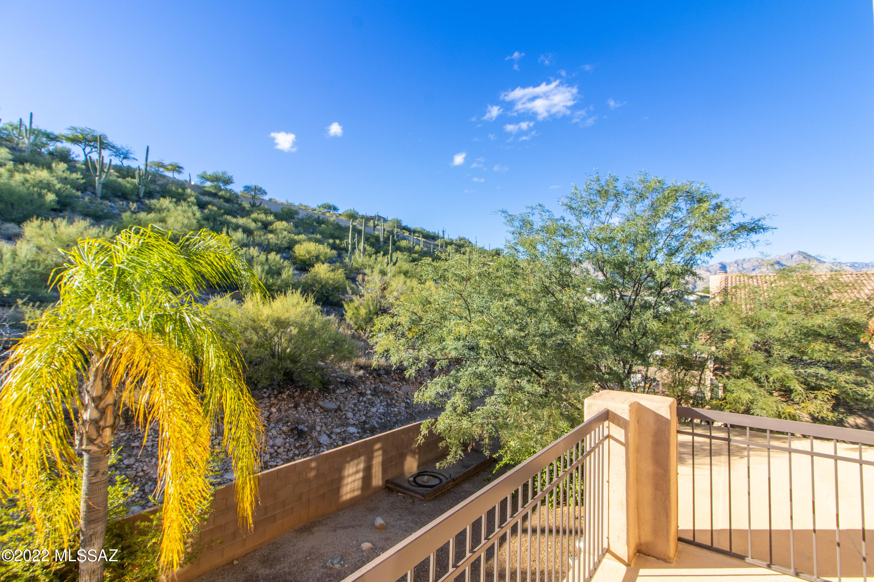 Sabino Mountain (1-290) - Residential Lease