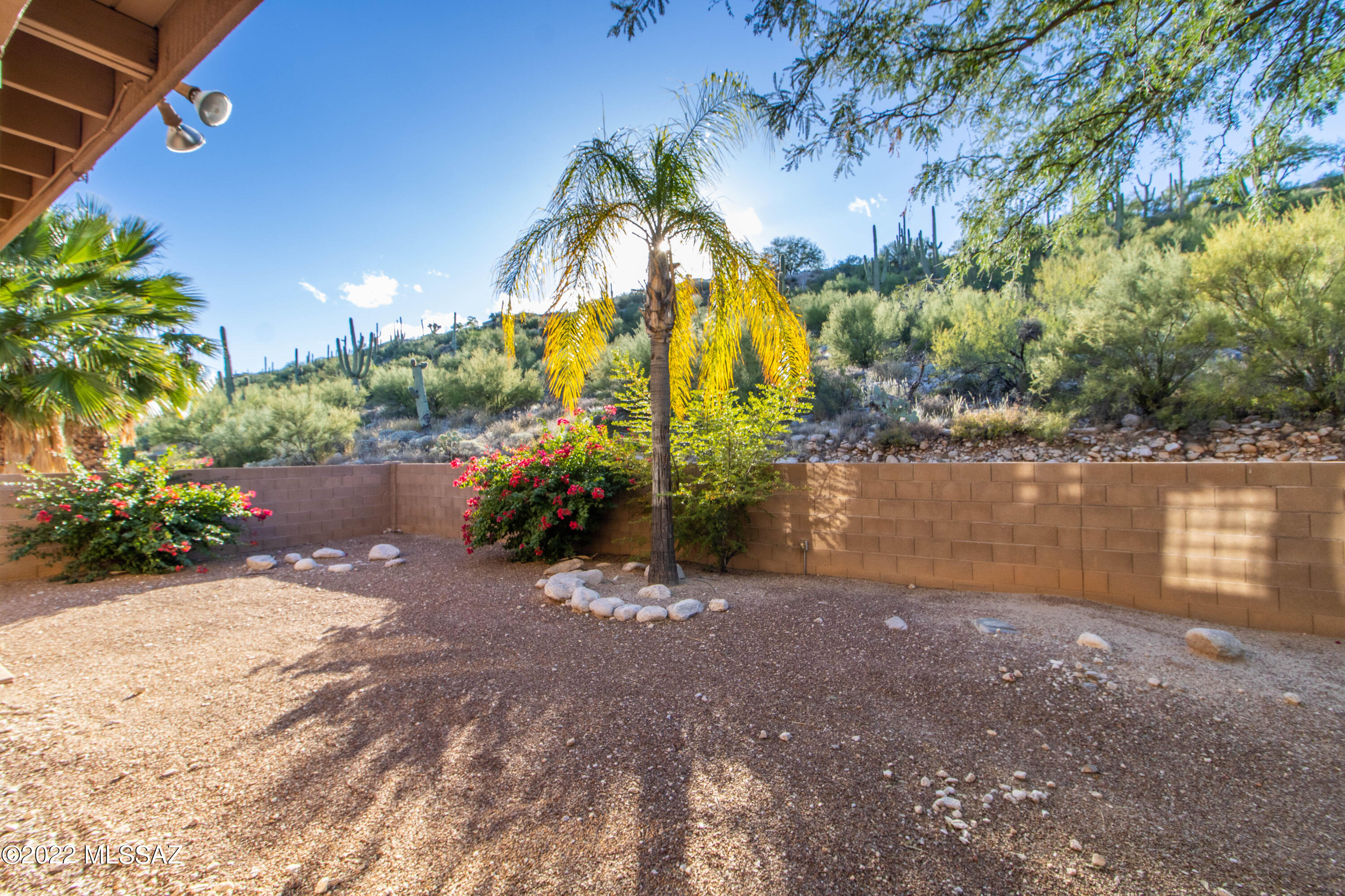 Sabino Mountain (1-290) - Residential Lease