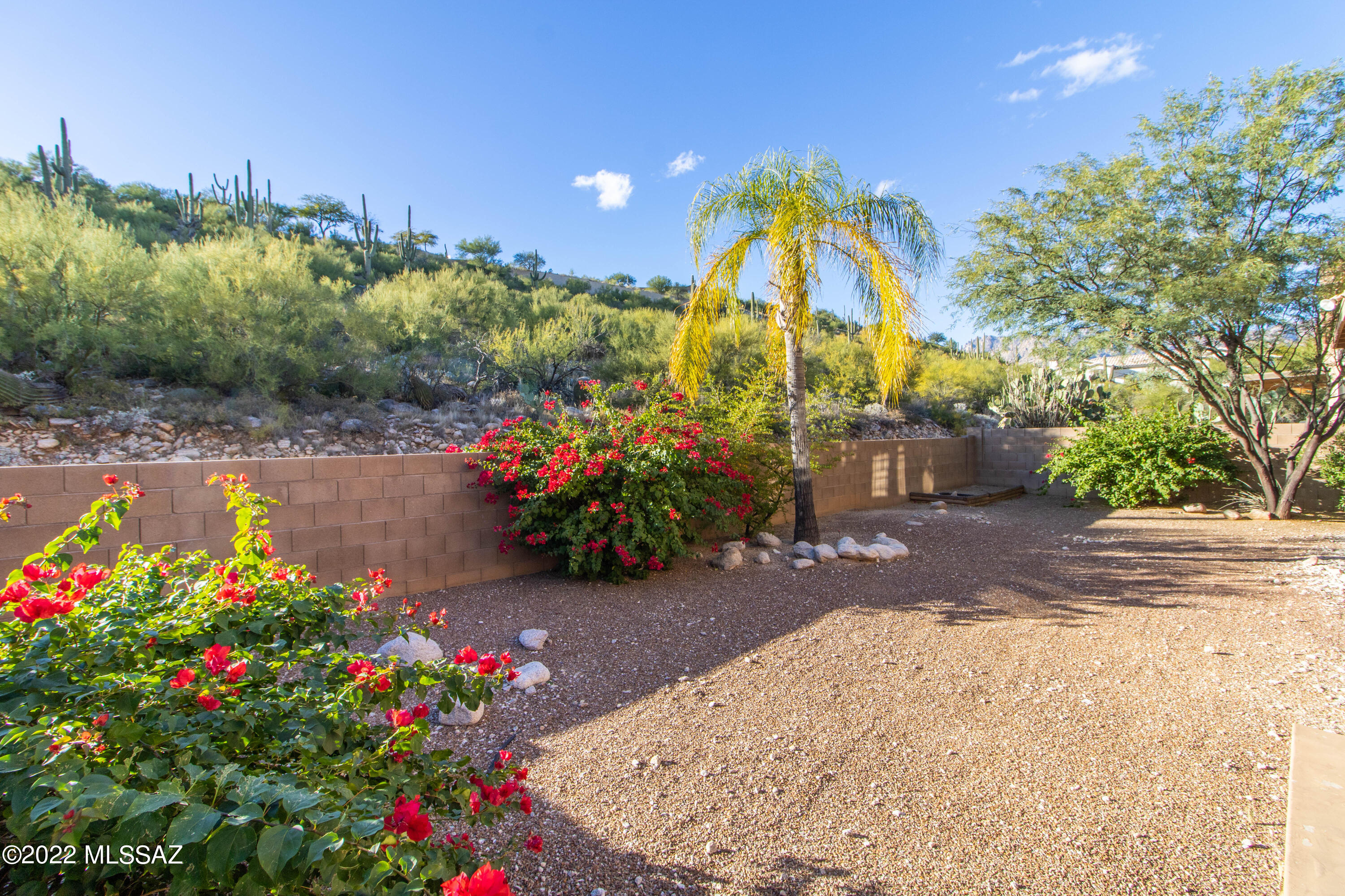 Sabino Mountain (1-290) - Residential Lease