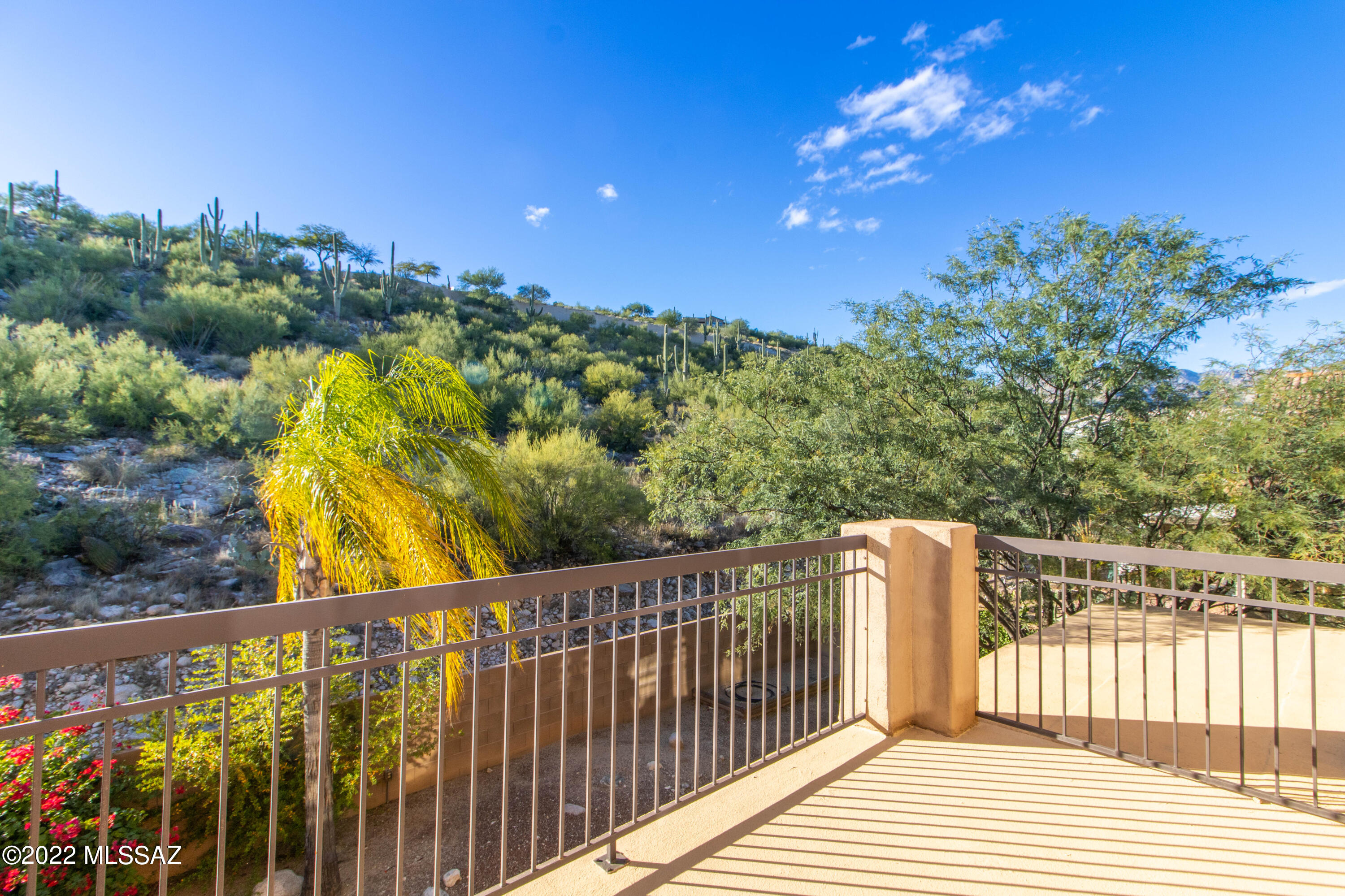 Sabino Mountain (1-290) - Residential Lease