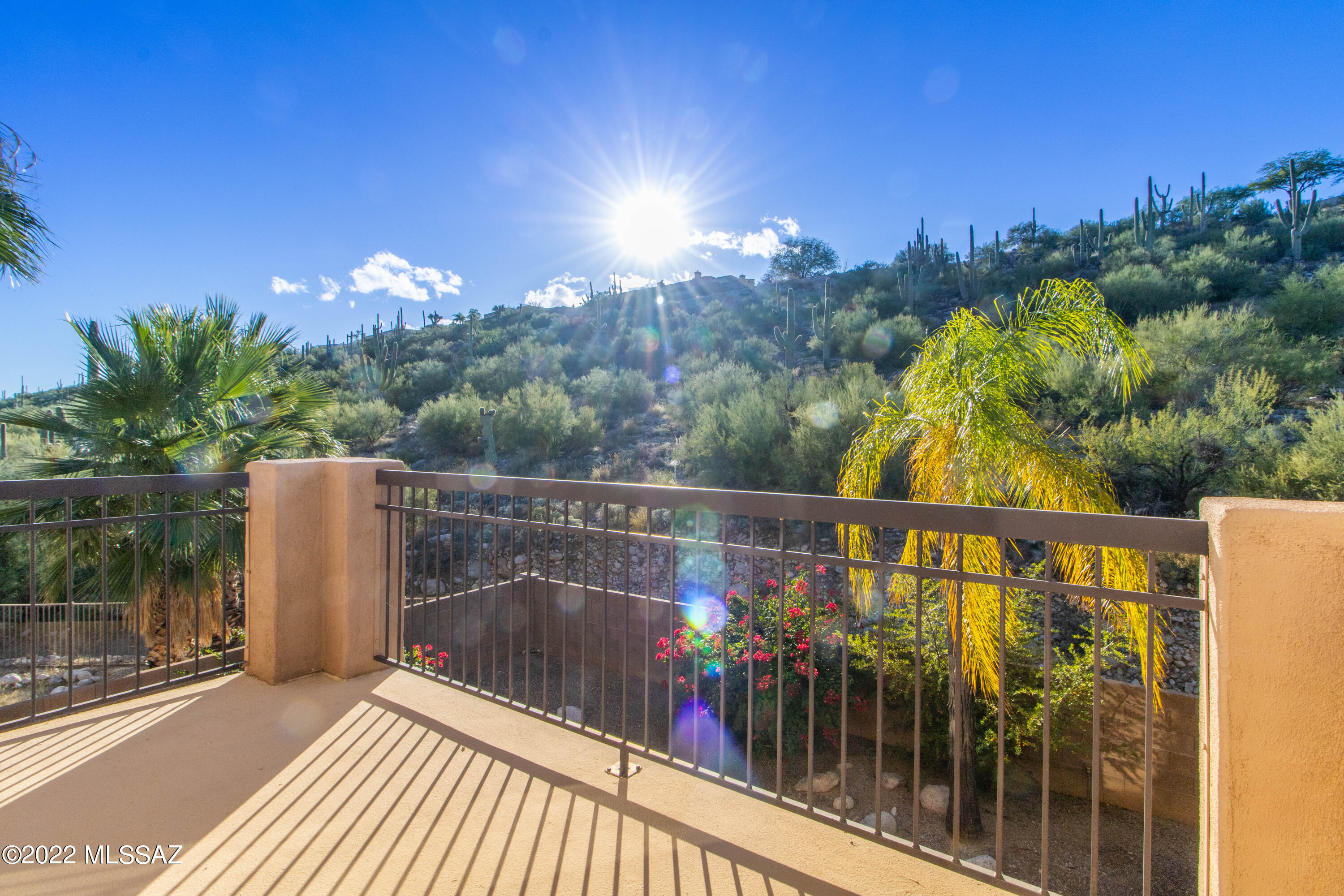 Sabino Mountain (1-290) - Residential Lease
