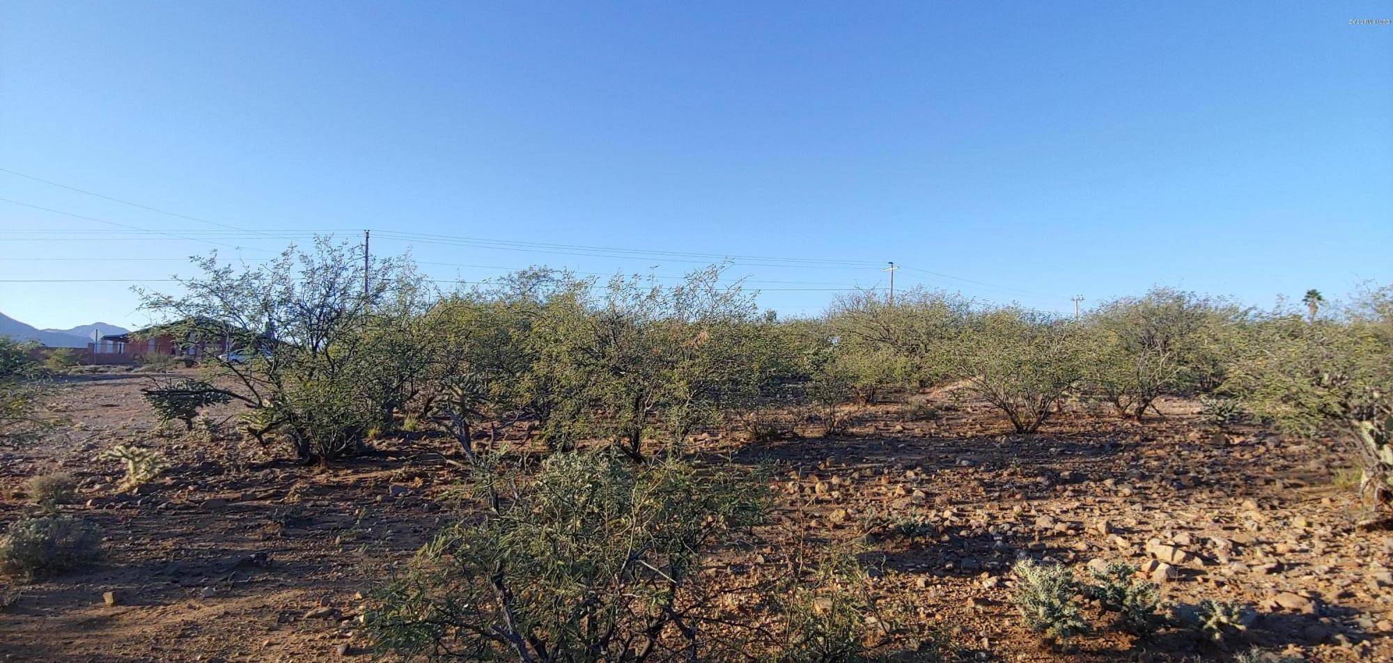 Rio Rico Ranchettes 18 - Land