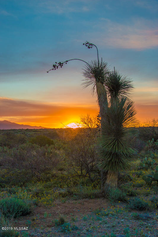 Mountain View Ranch (1-362) - Land