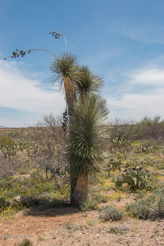 Mountain View Ranch (1-362) - Land