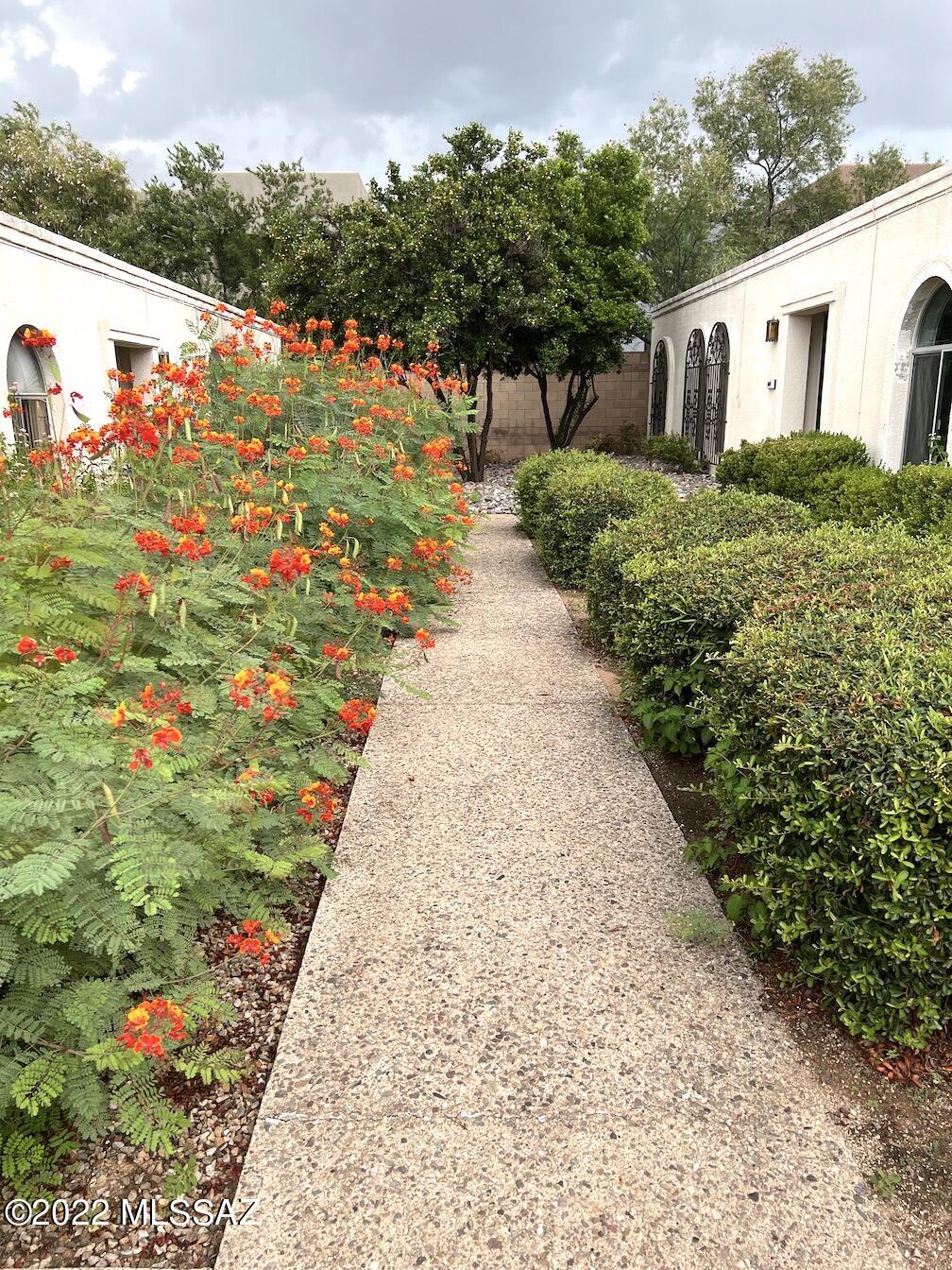 Encanto East Condos (1-13) - Residential