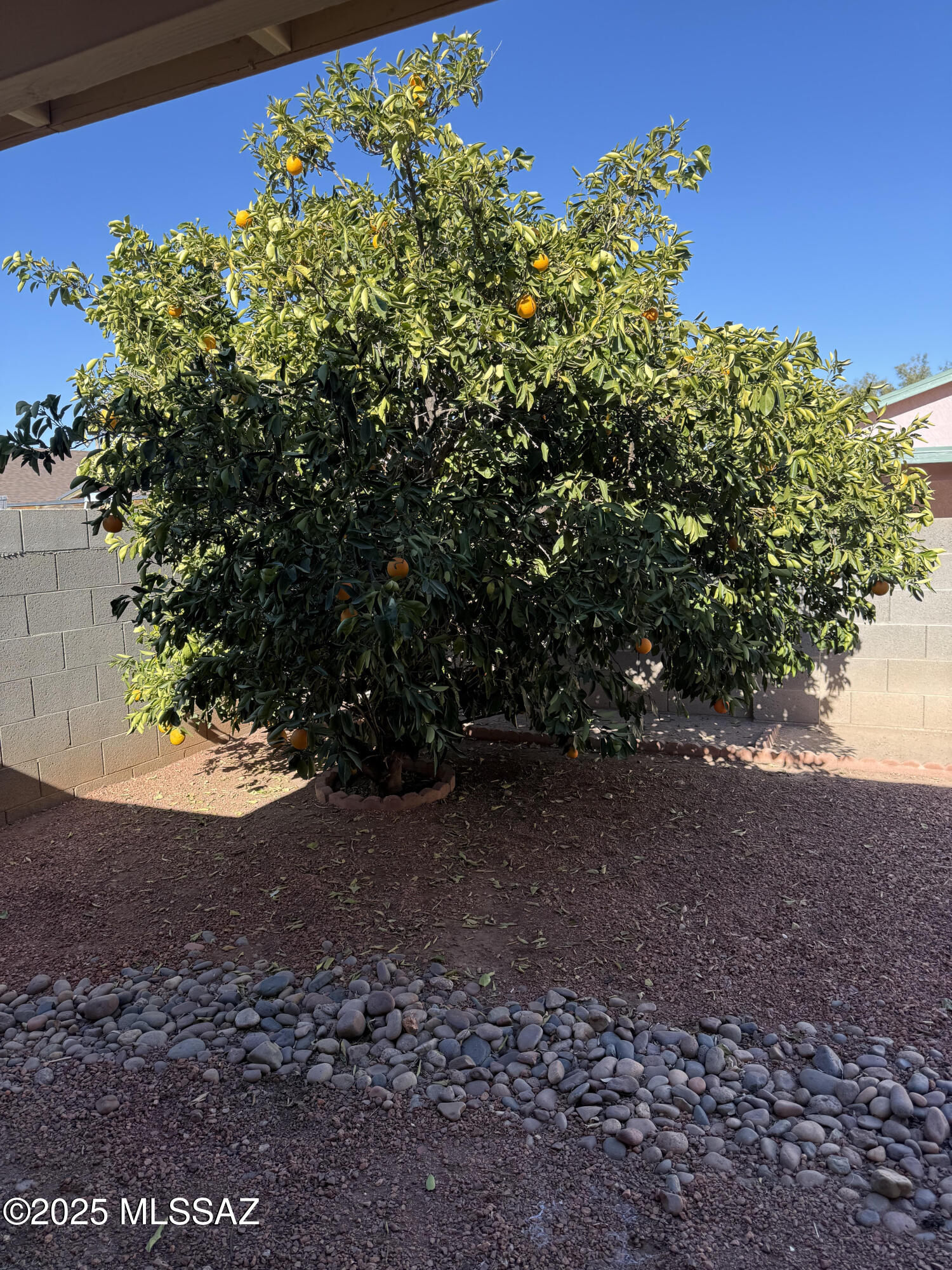 Cambrie At Midvale Park (1-203) - Residential