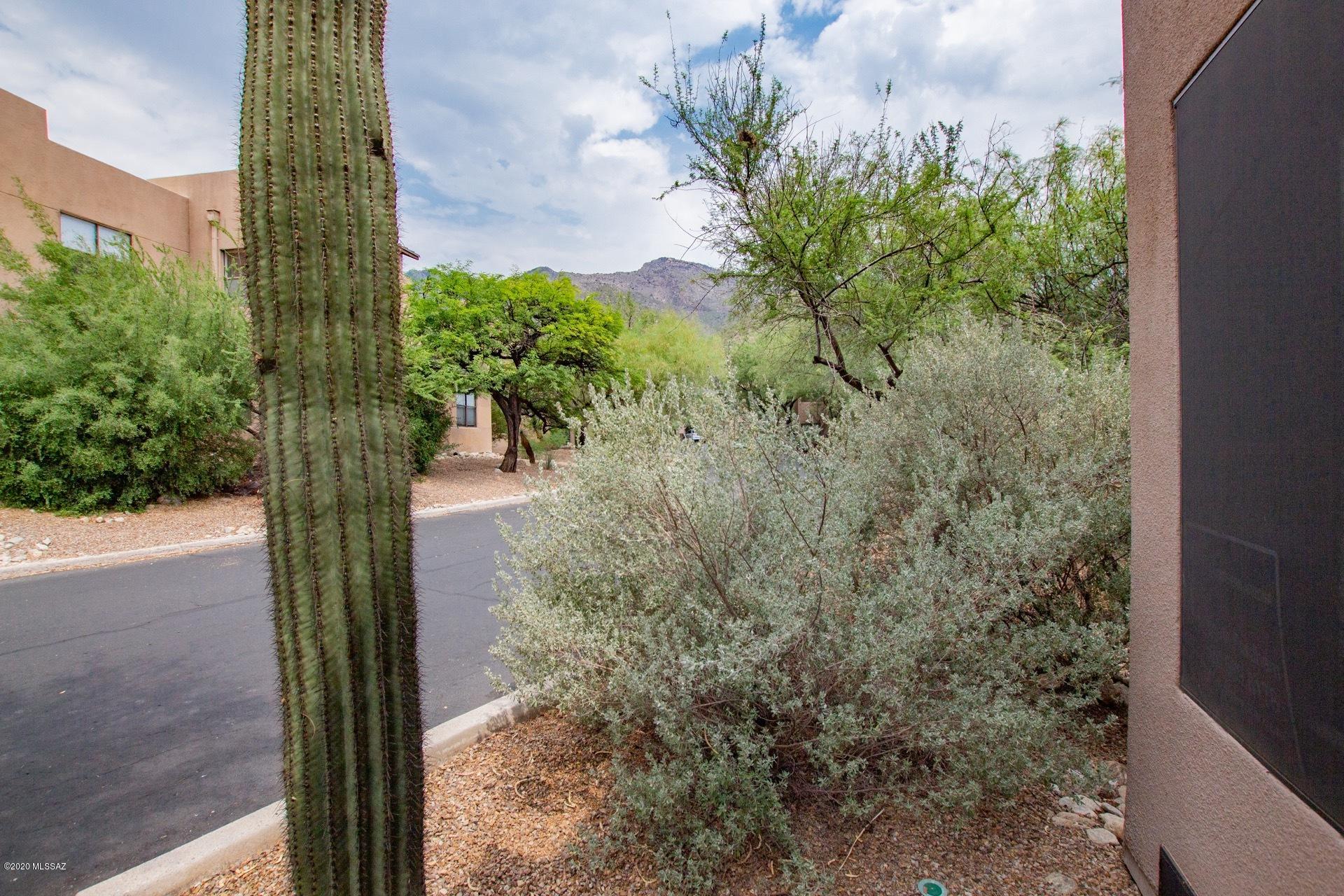 Canyon View At Ventana Condominium (1-264) - Residential