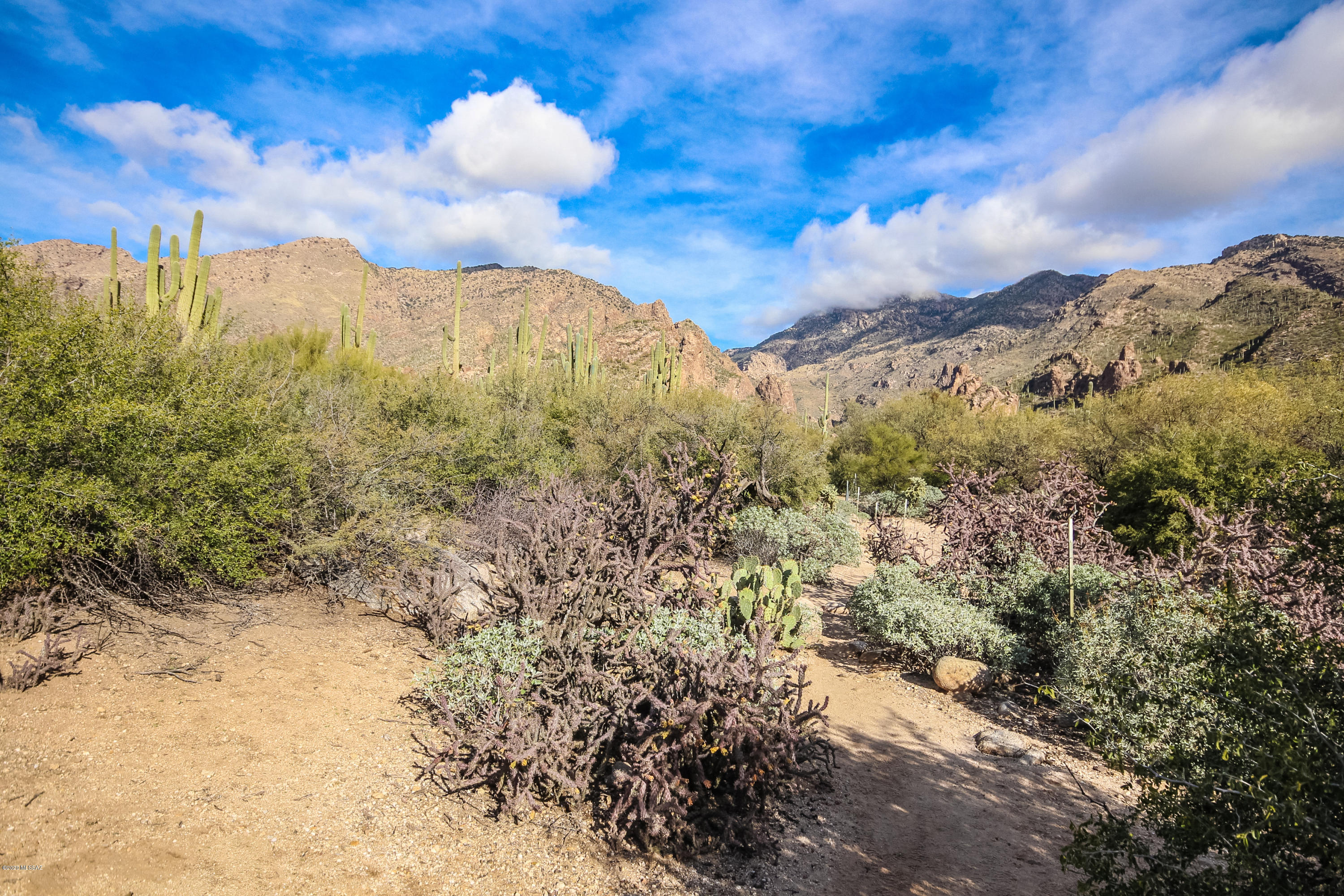 Canyon View At Ventana Condominium (1-264) - Residential
