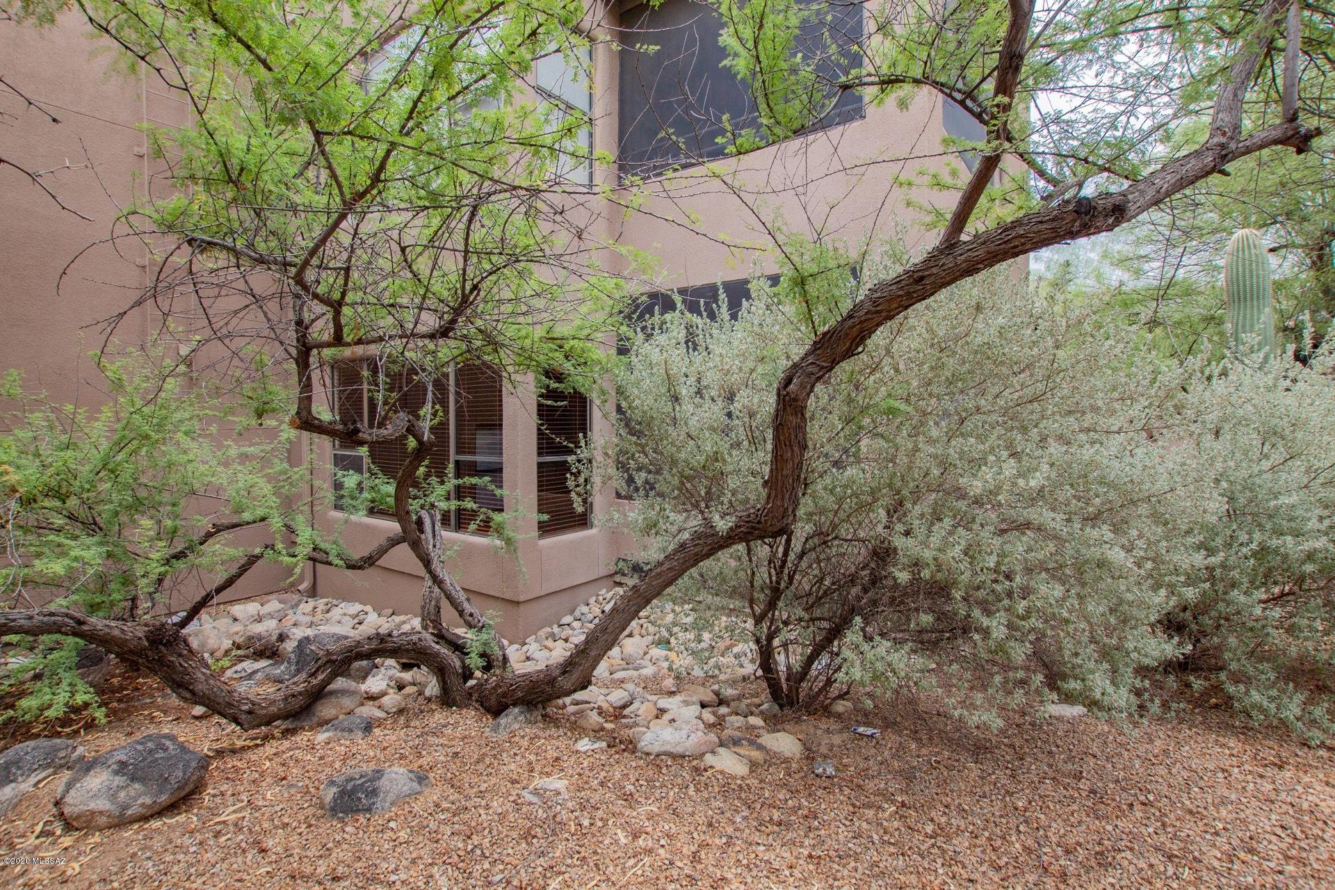Canyon View At Ventana Condominium (1-264) - Residential