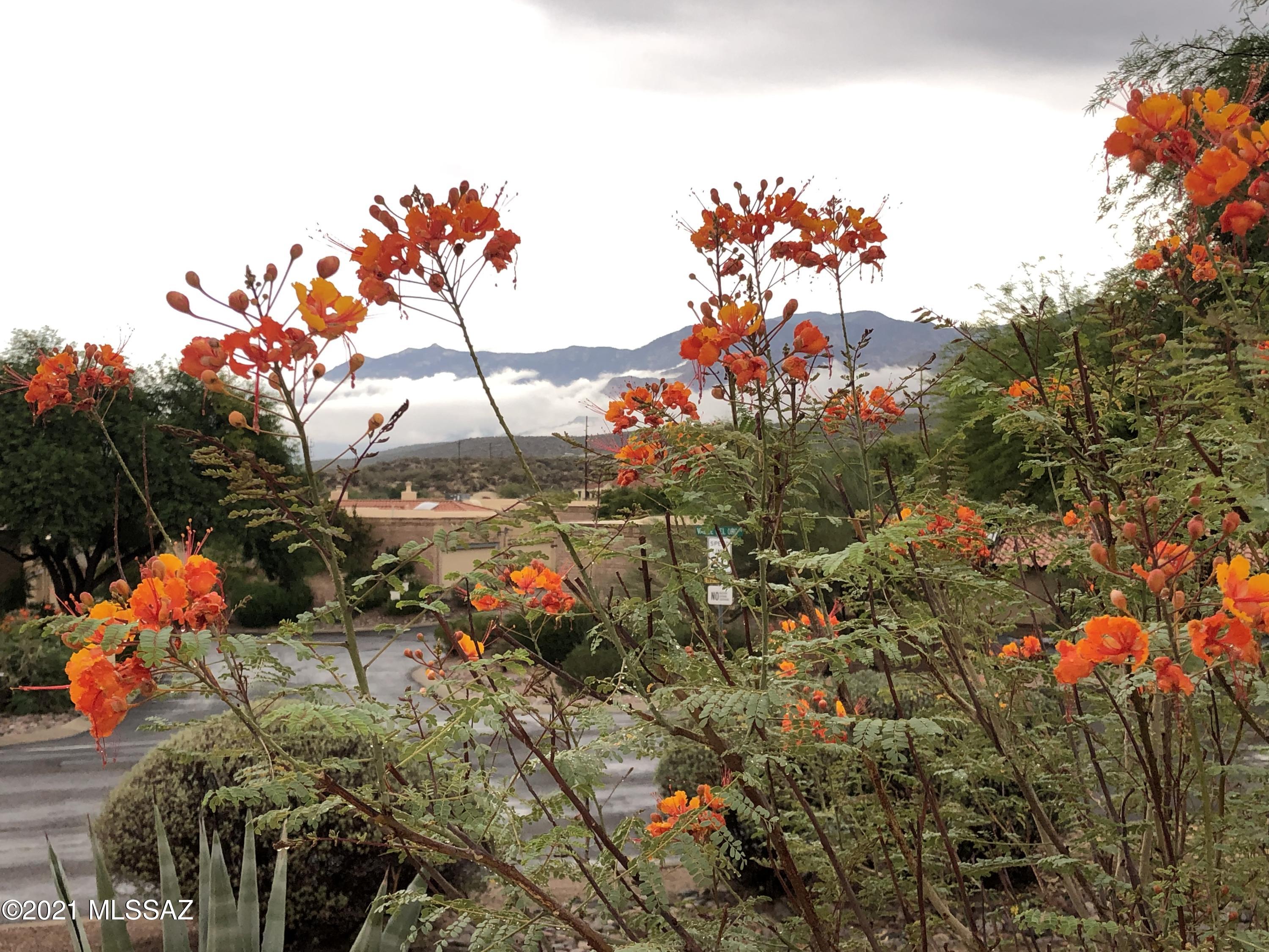 Colony At Oro Valley (The) - Residential Lease