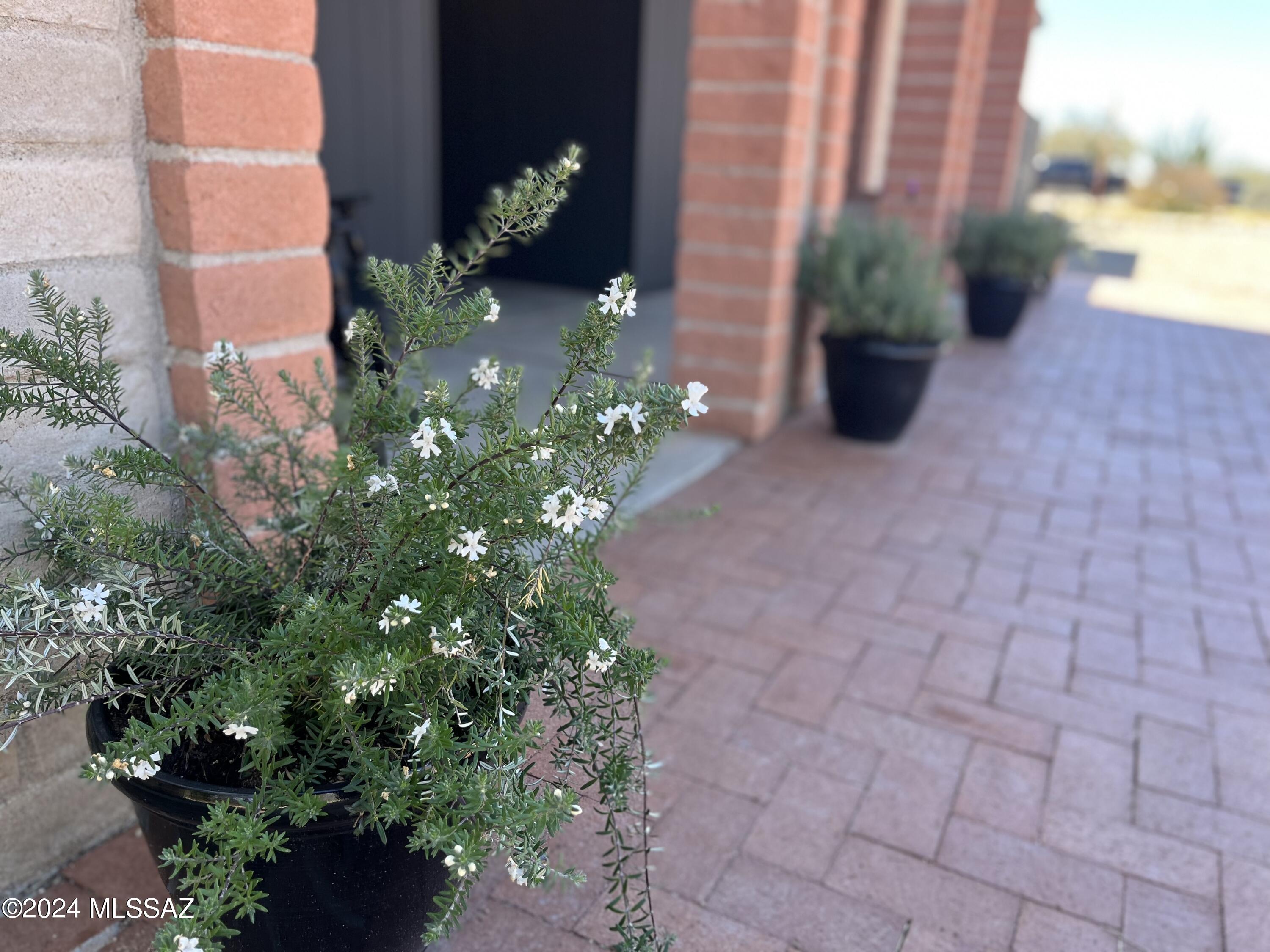 Catalina Valley  (54-114) - Residential