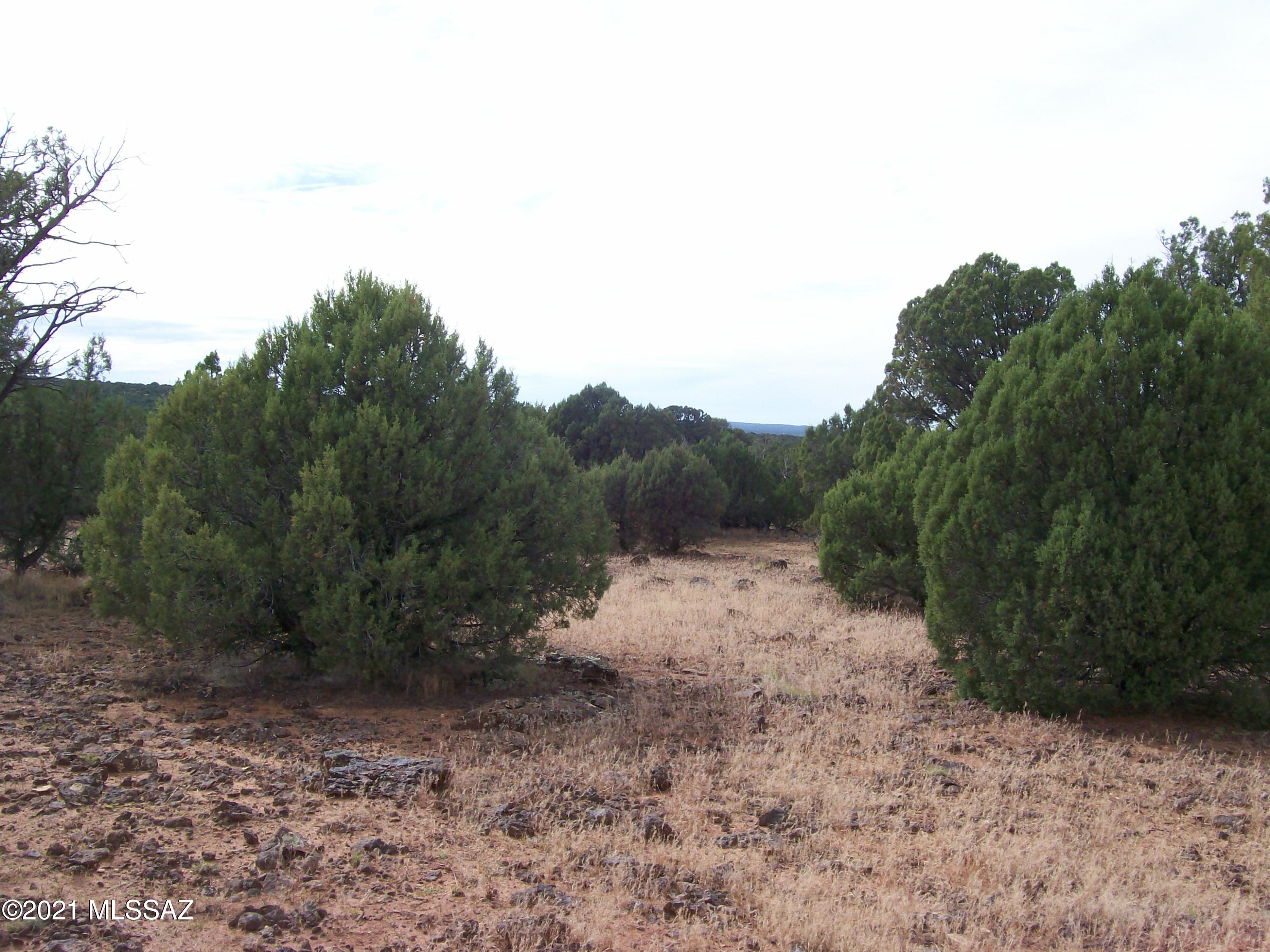 Out Of Pima County - Land
