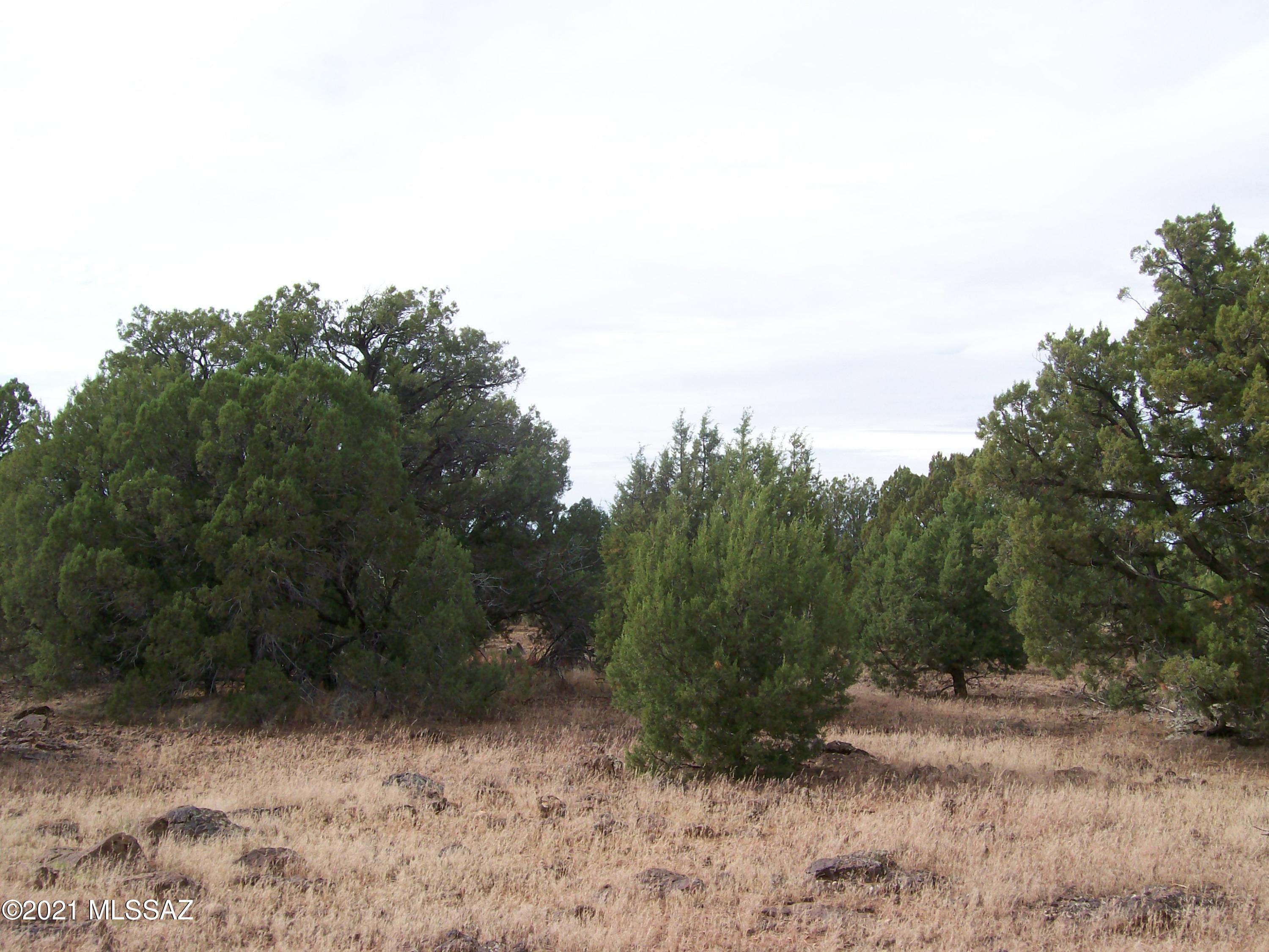 Out Of Pima County - Land