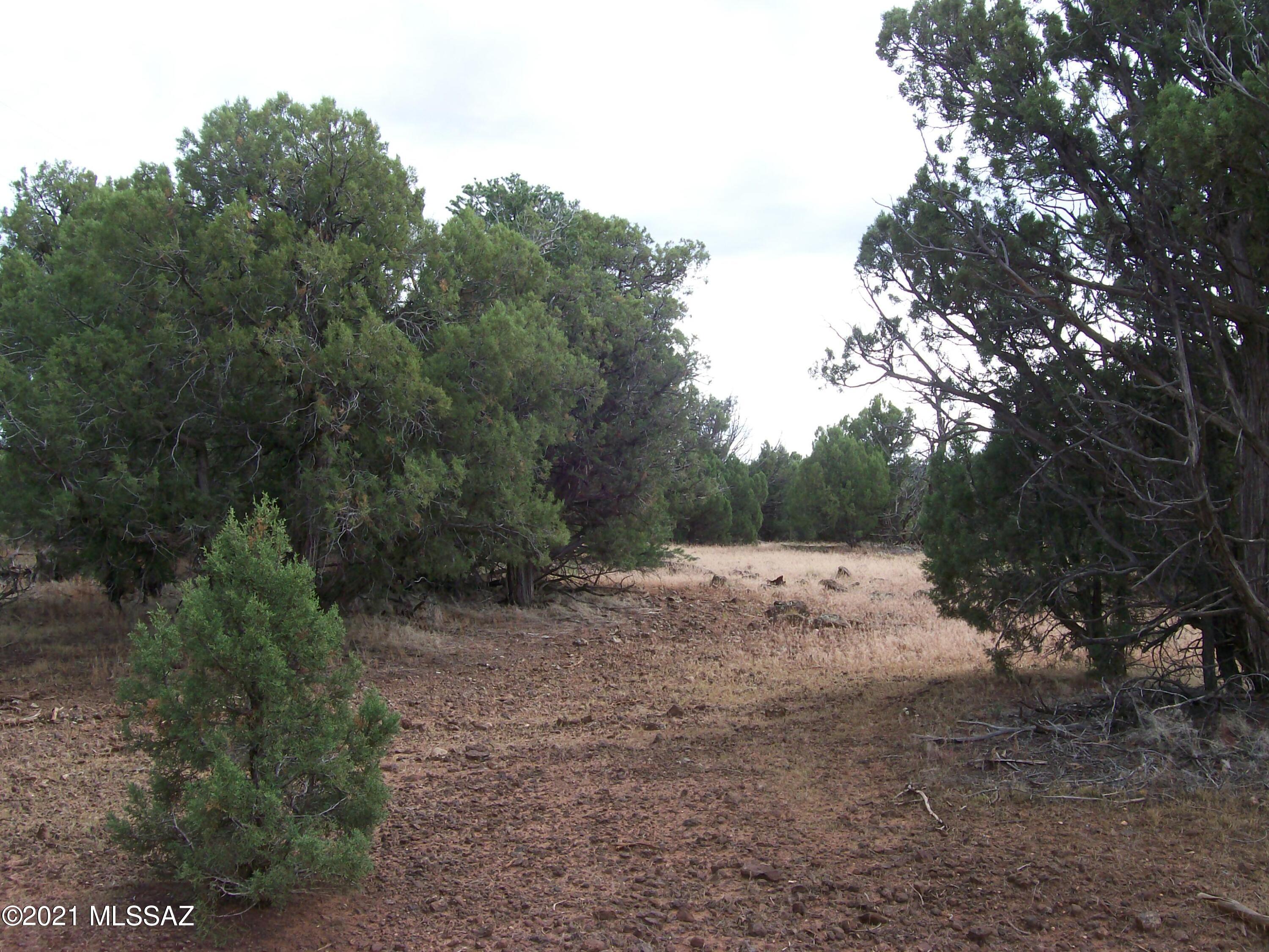 Out Of Pima County - Land