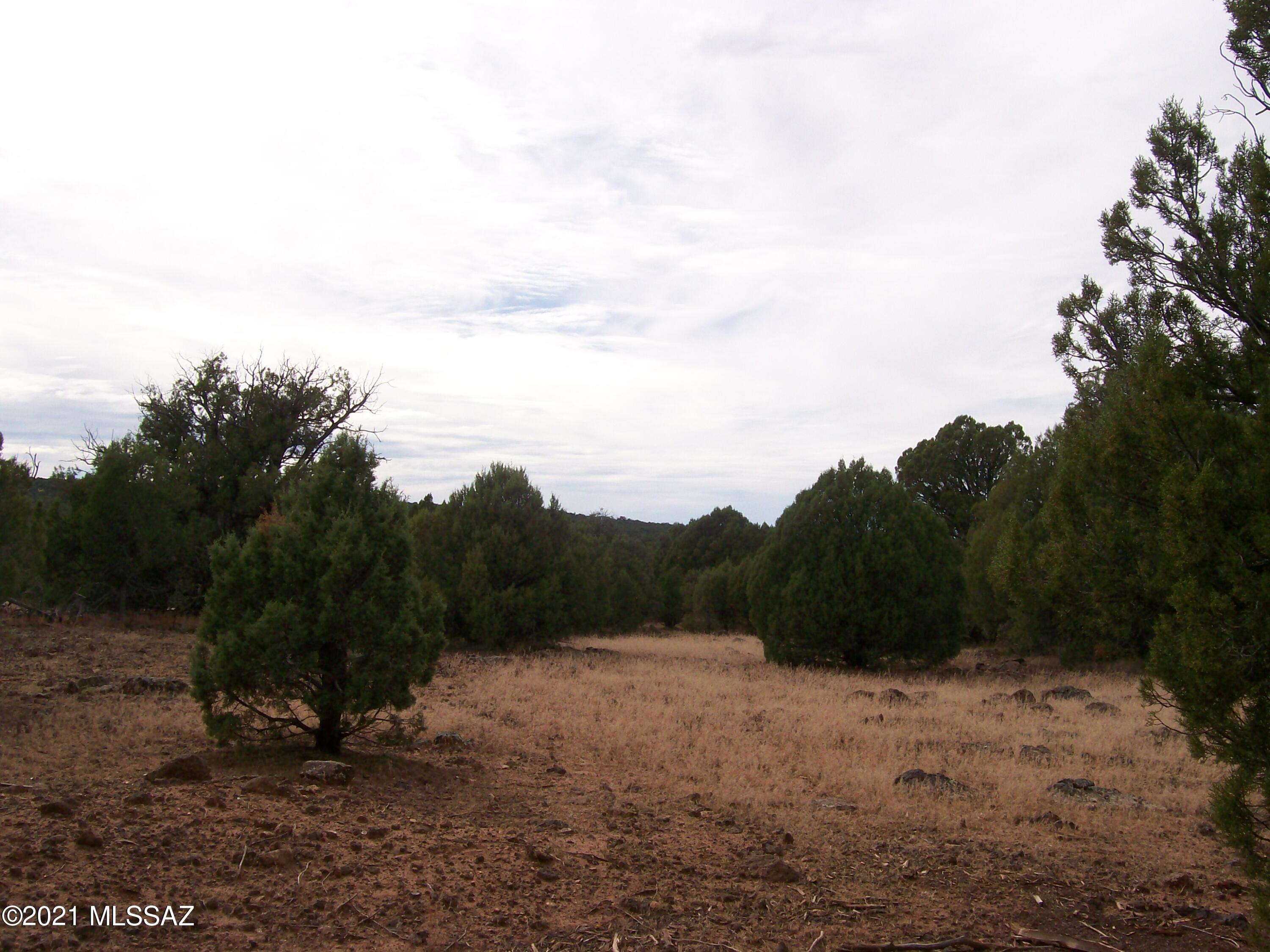 Out Of Pima County - Land