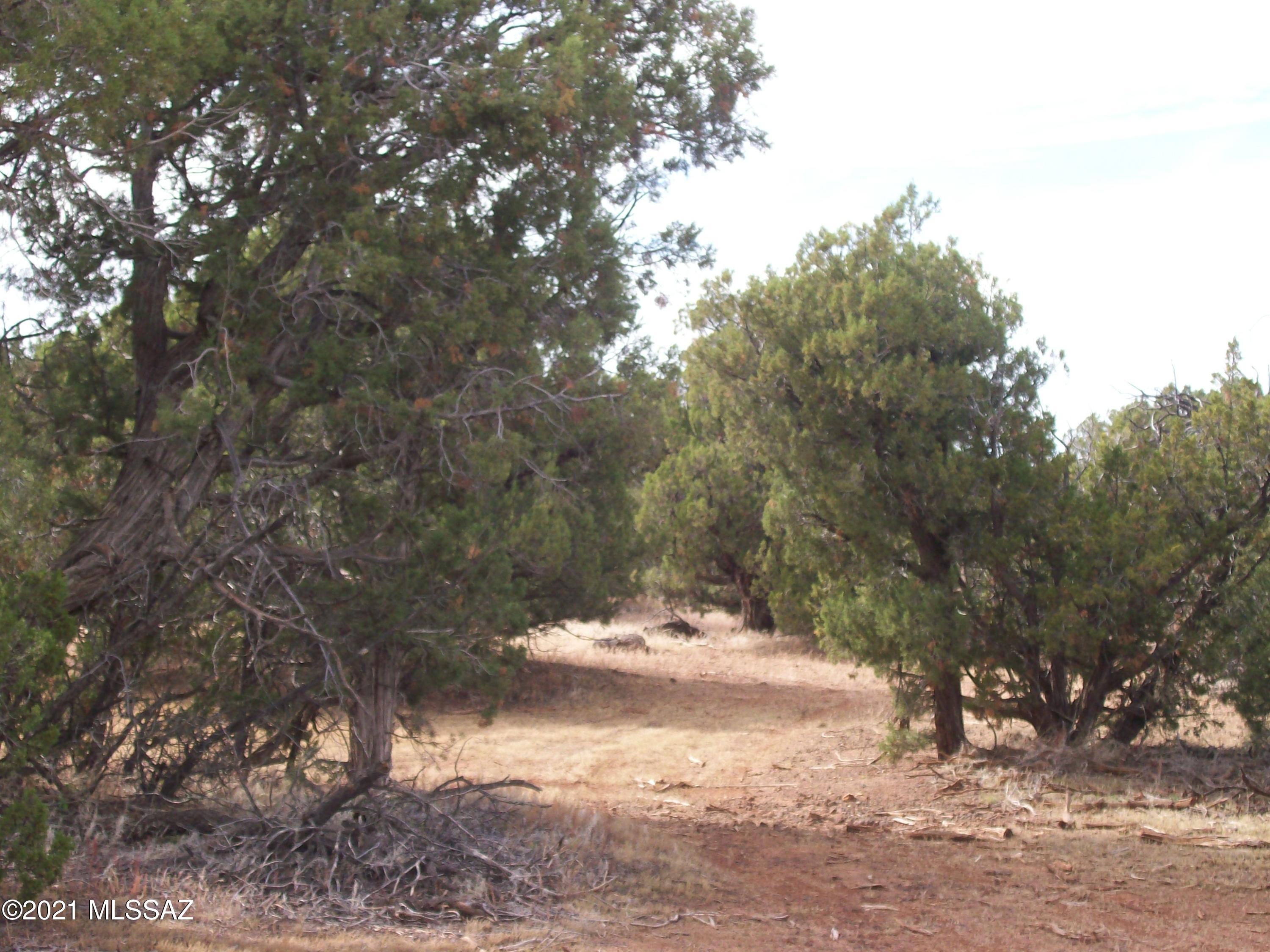 Out Of Pima County - Land