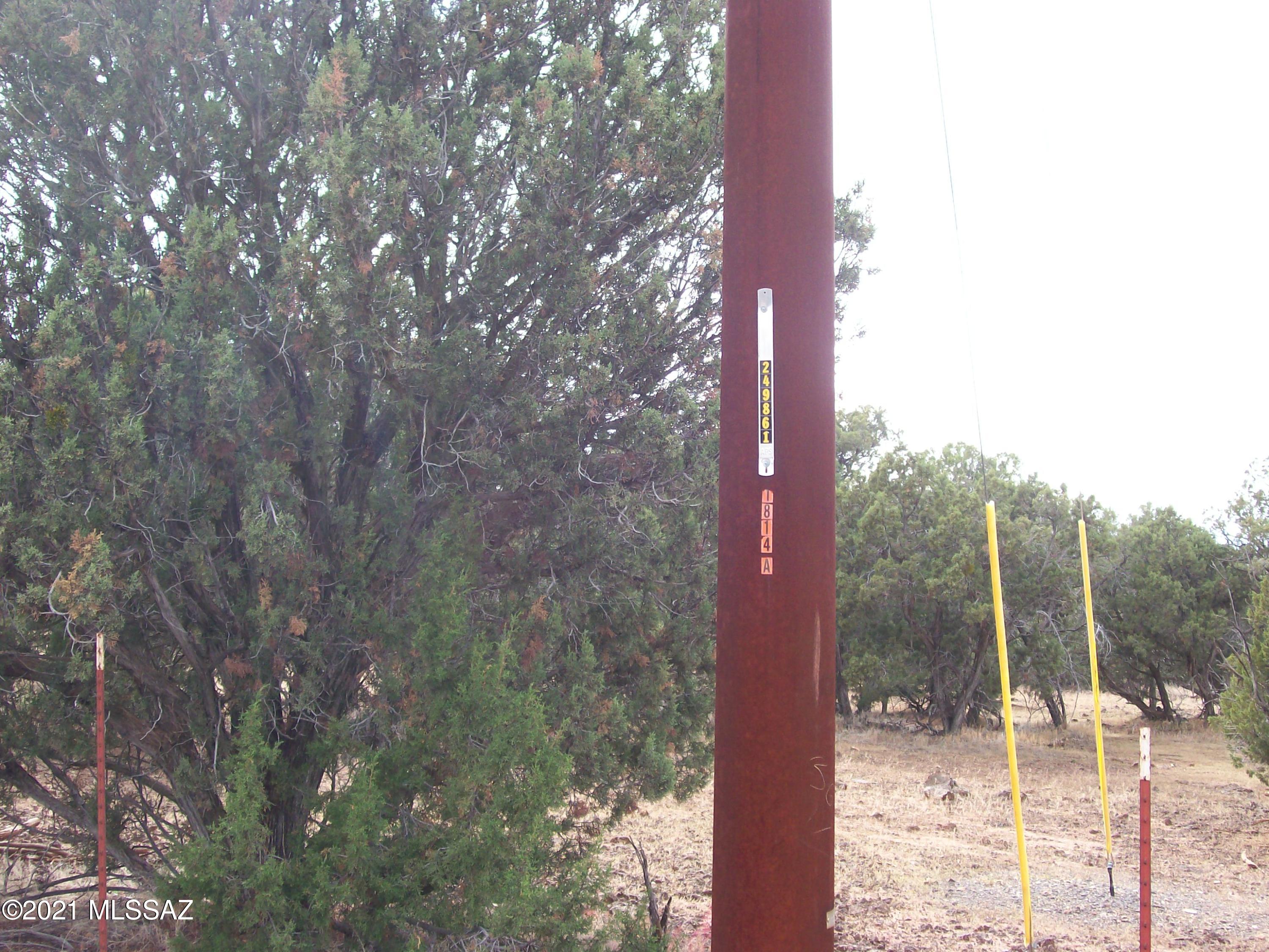 Out Of Pima County - Land