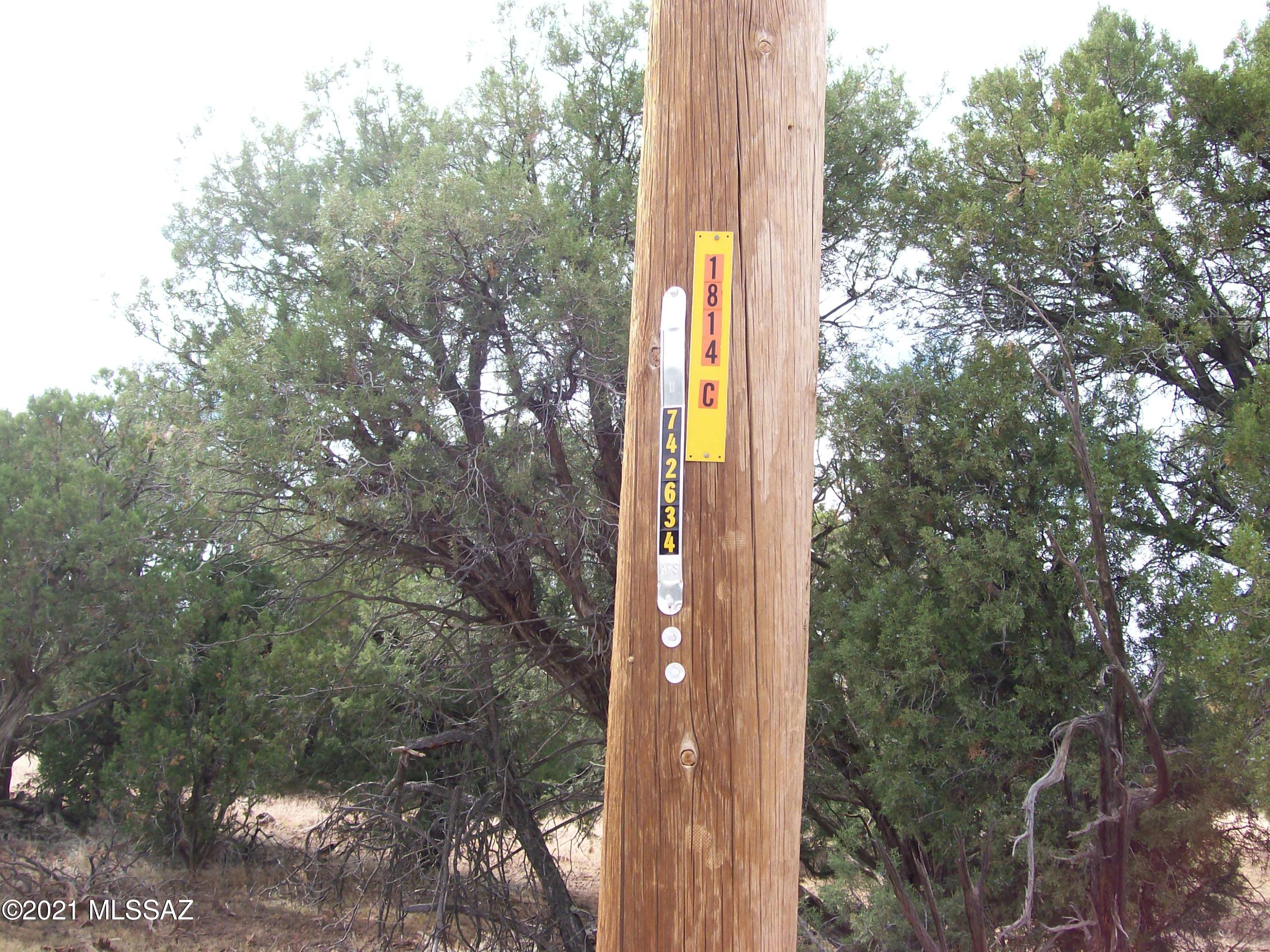 Out Of Pima County - Land