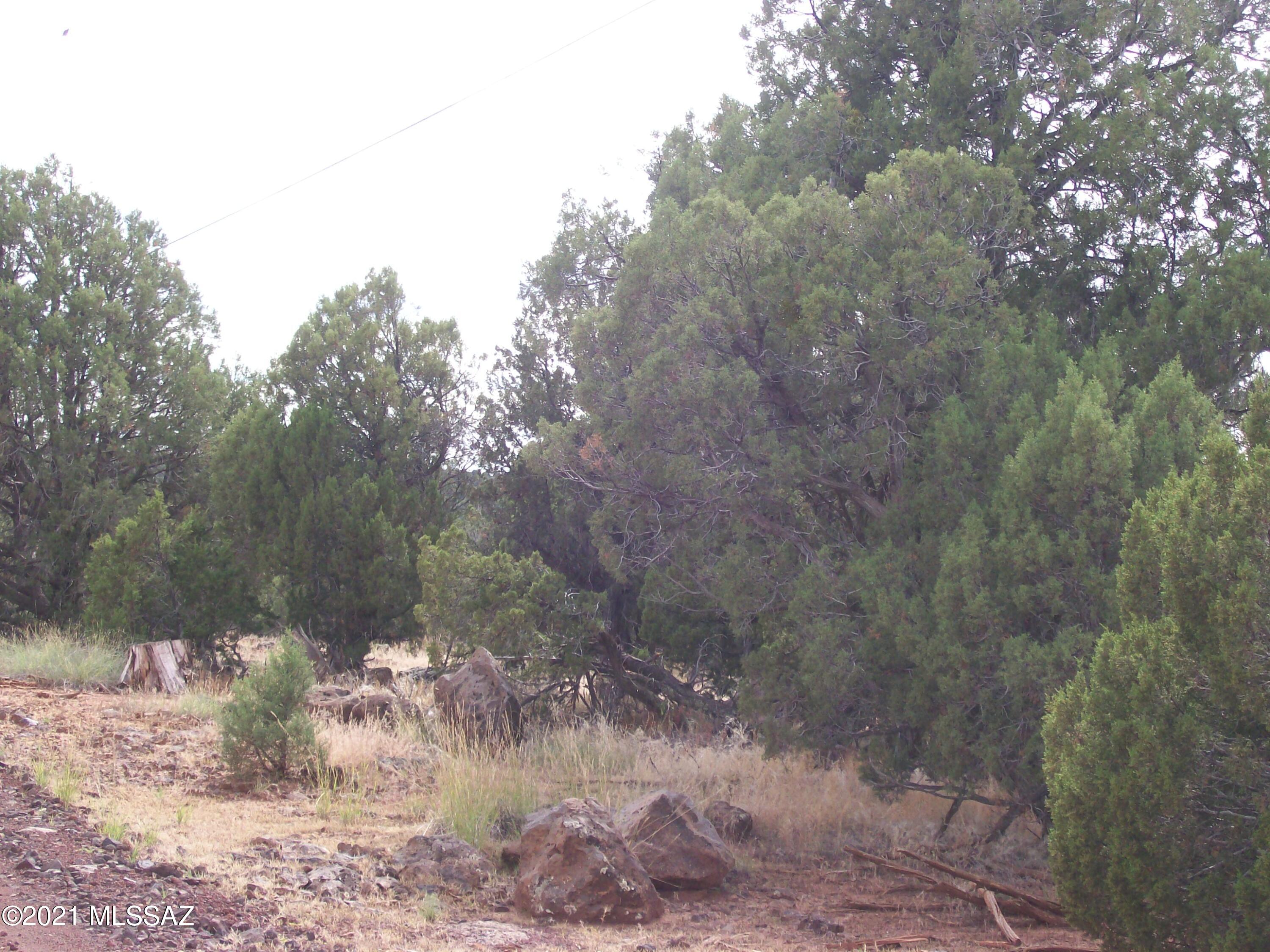 Out Of Pima County - Land