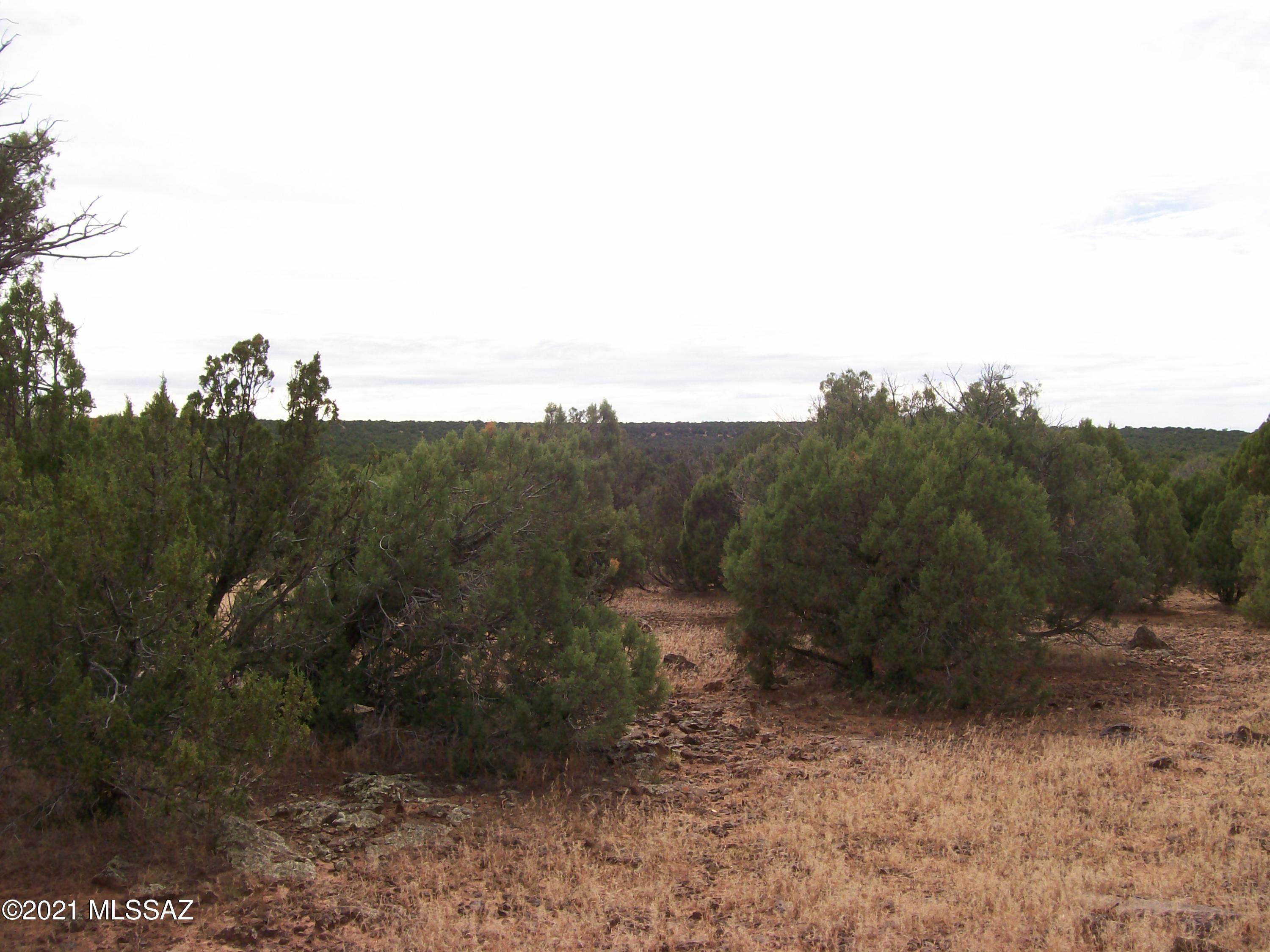Out Of Pima County - Land