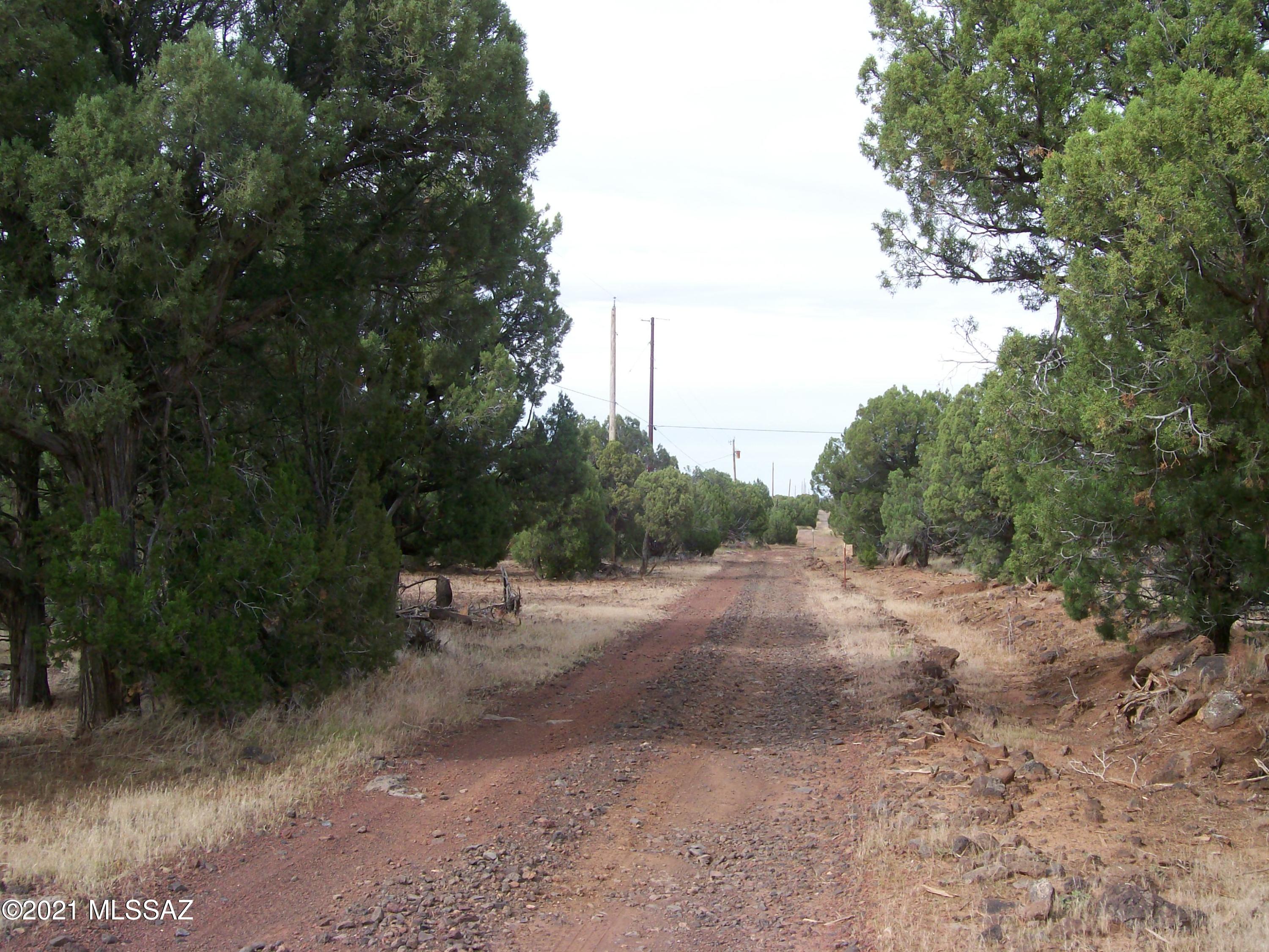 Out Of Pima County - Land