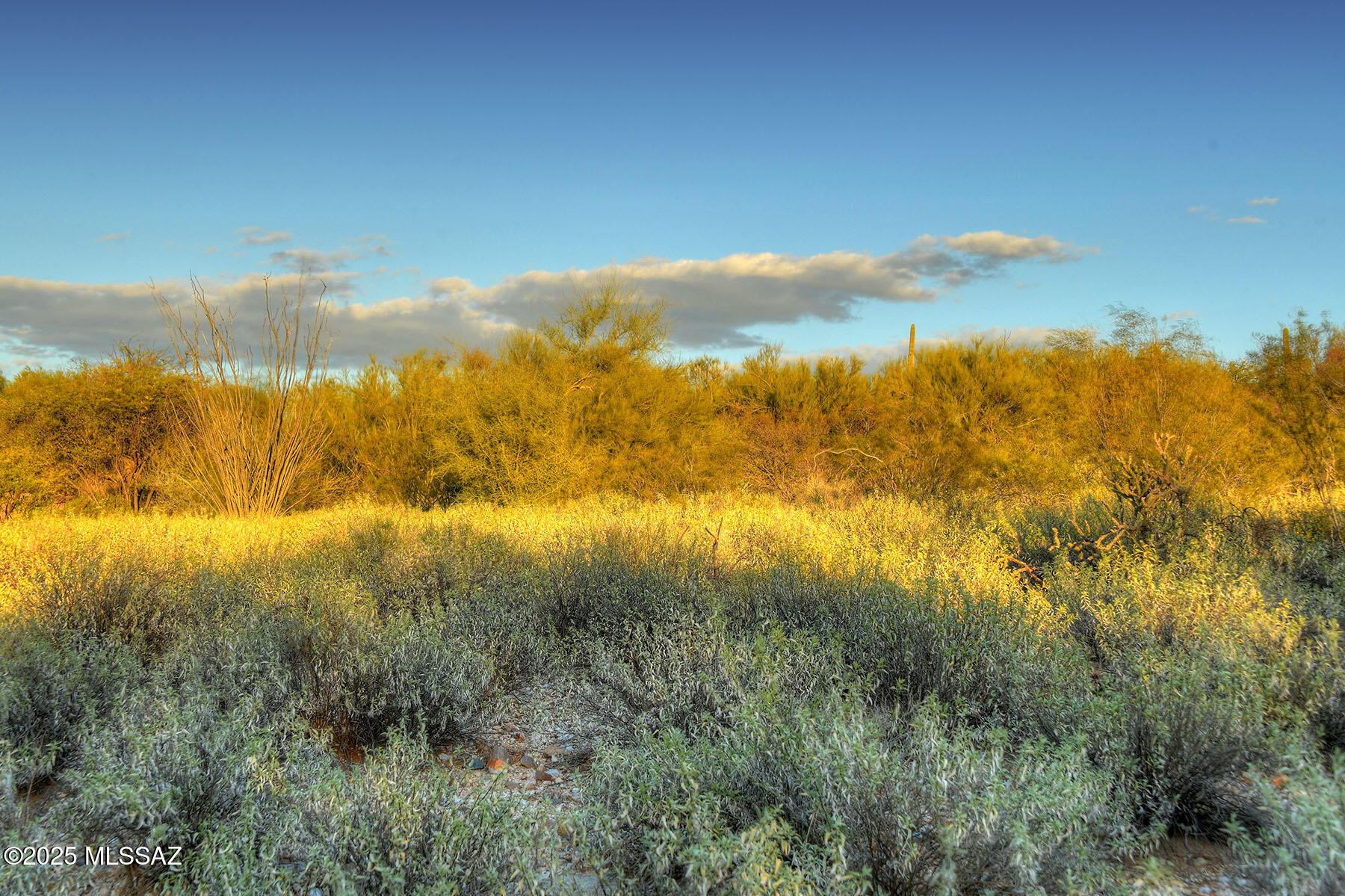 La Paloma Estates (53-68) - Land
