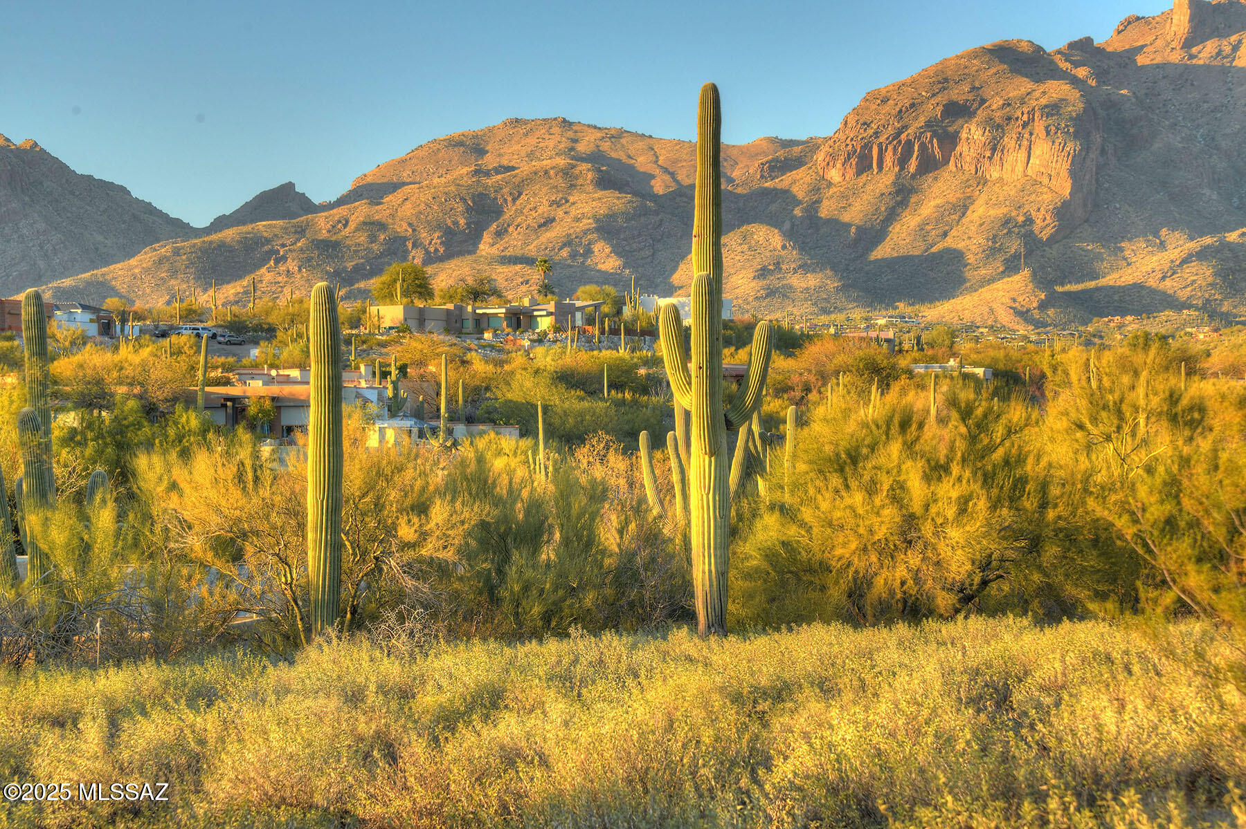 La Paloma Estates (53-68) - Land
