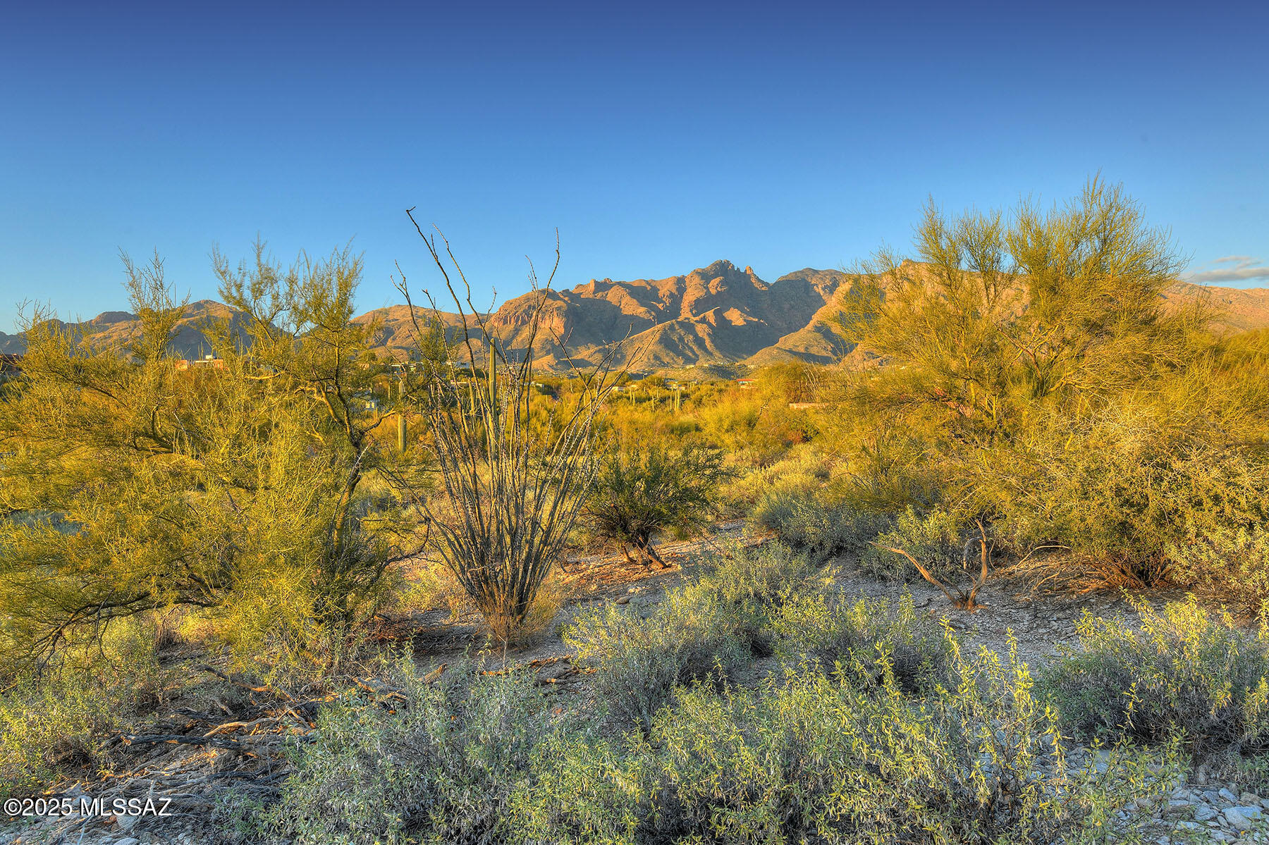 La Paloma Estates (53-68) - Land