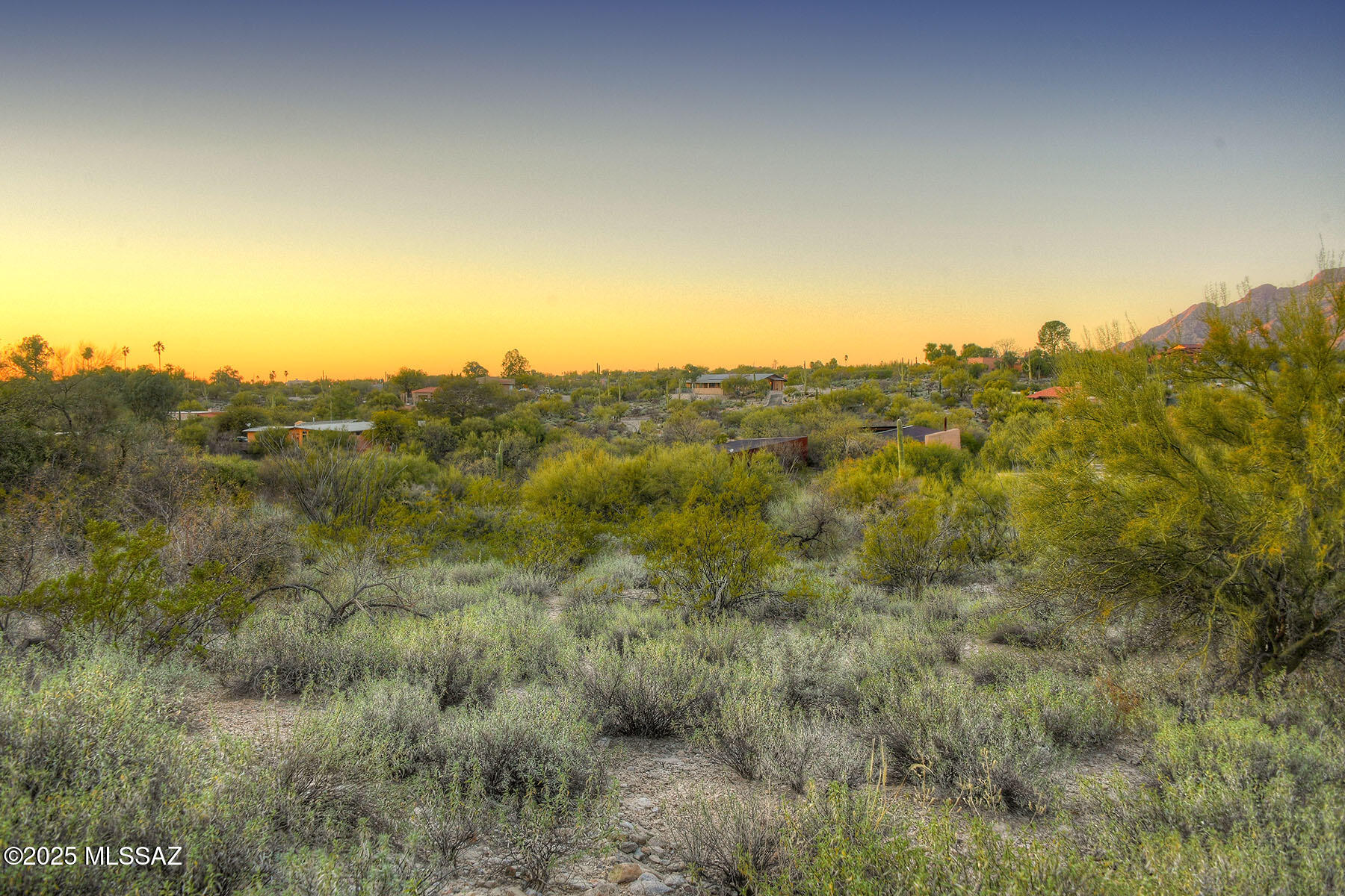 La Paloma Estates (53-68) - Land
