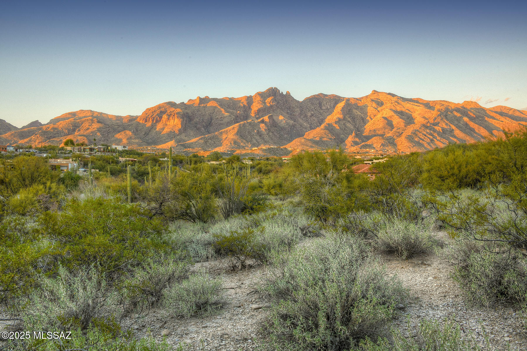 La Paloma Estates (53-68) - Land