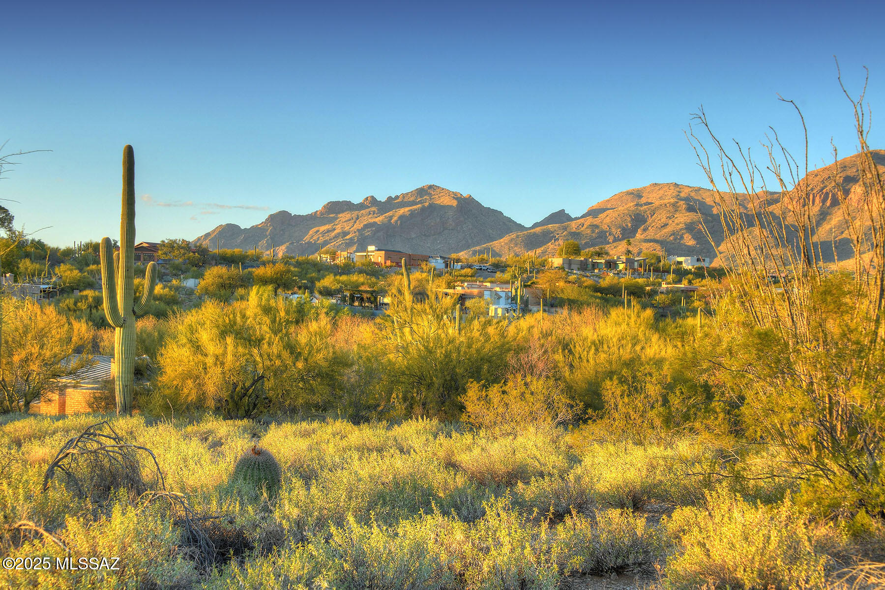 La Paloma Estates (53-68) - Land