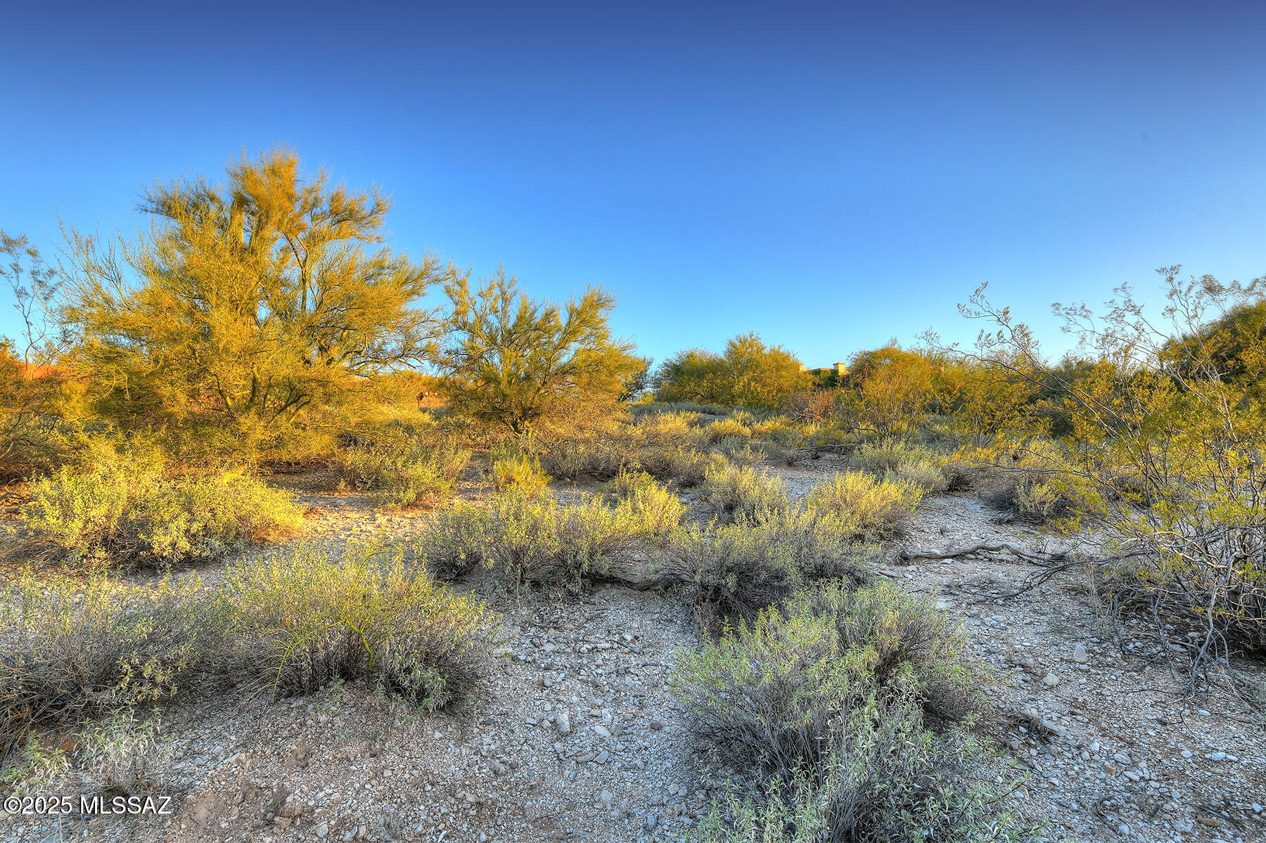 La Paloma Estates (53-68) - Land